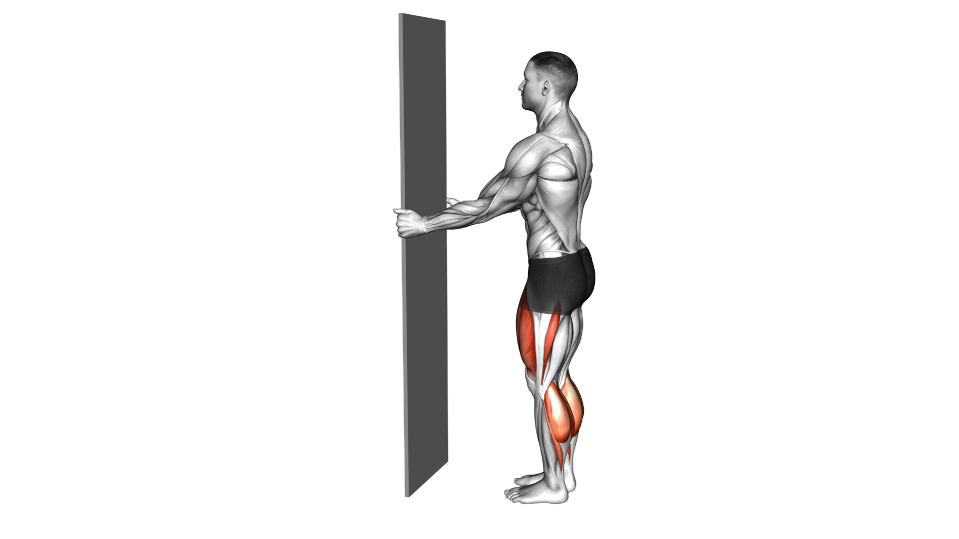 Bodyweight Half Sissy Squat Wall Supported exercise demonstration