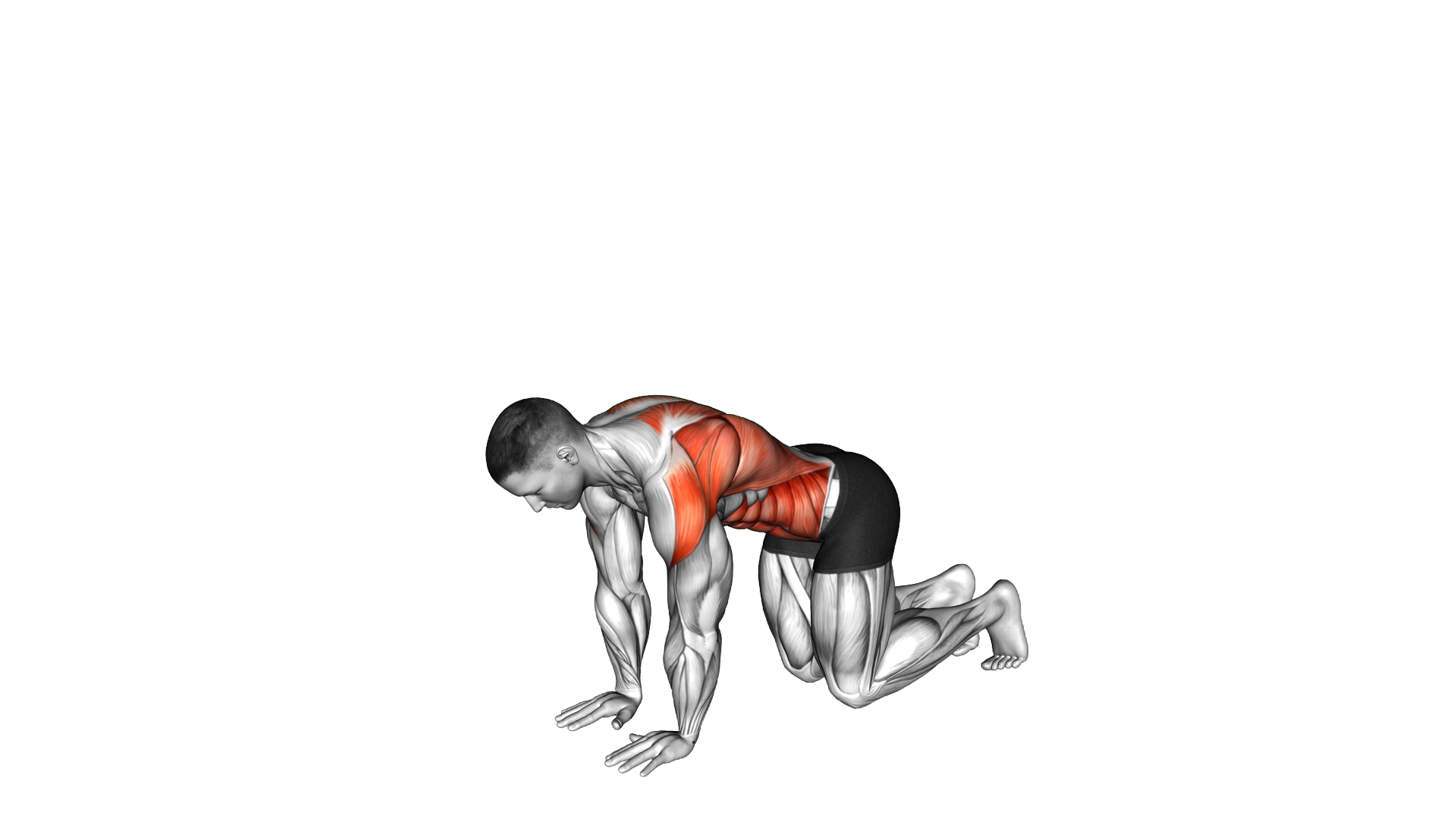 Kneeling Thread the Needle exercise demonstration