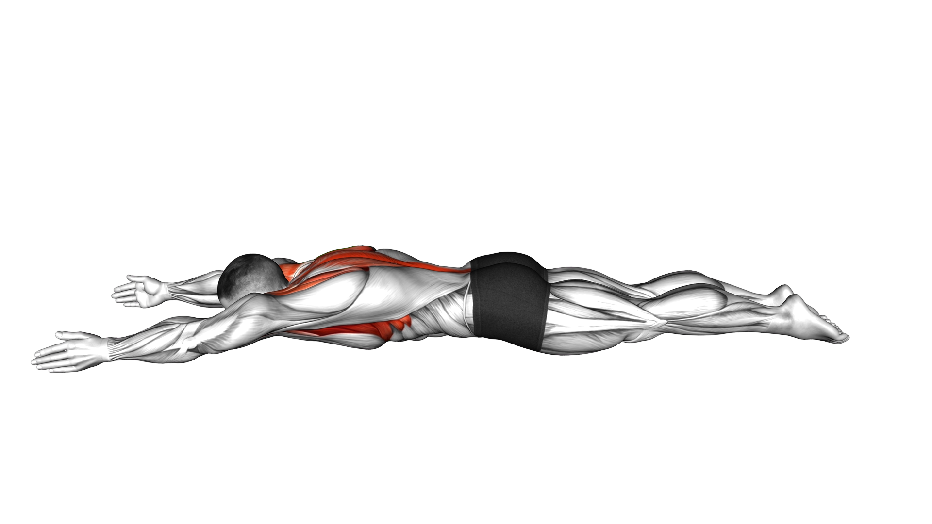 Lying Prone Y to T to W exercise demonstration