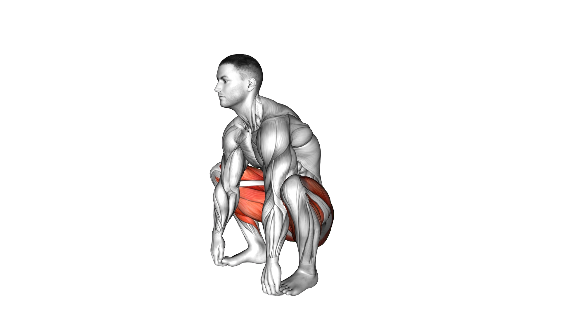 Squat to Straddle exercise demonstration