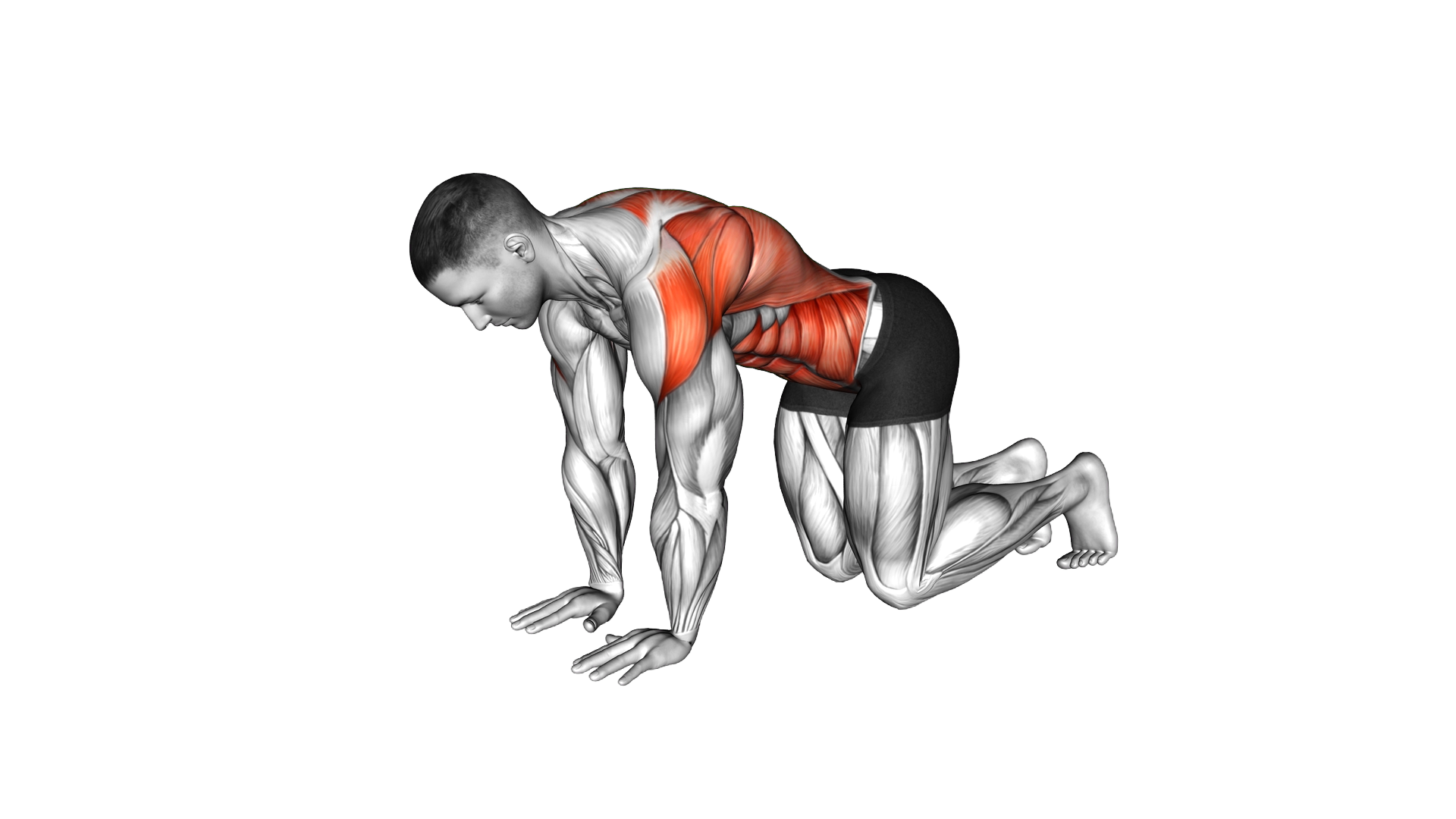 Kneeling Reach and Thread exercise demonstration