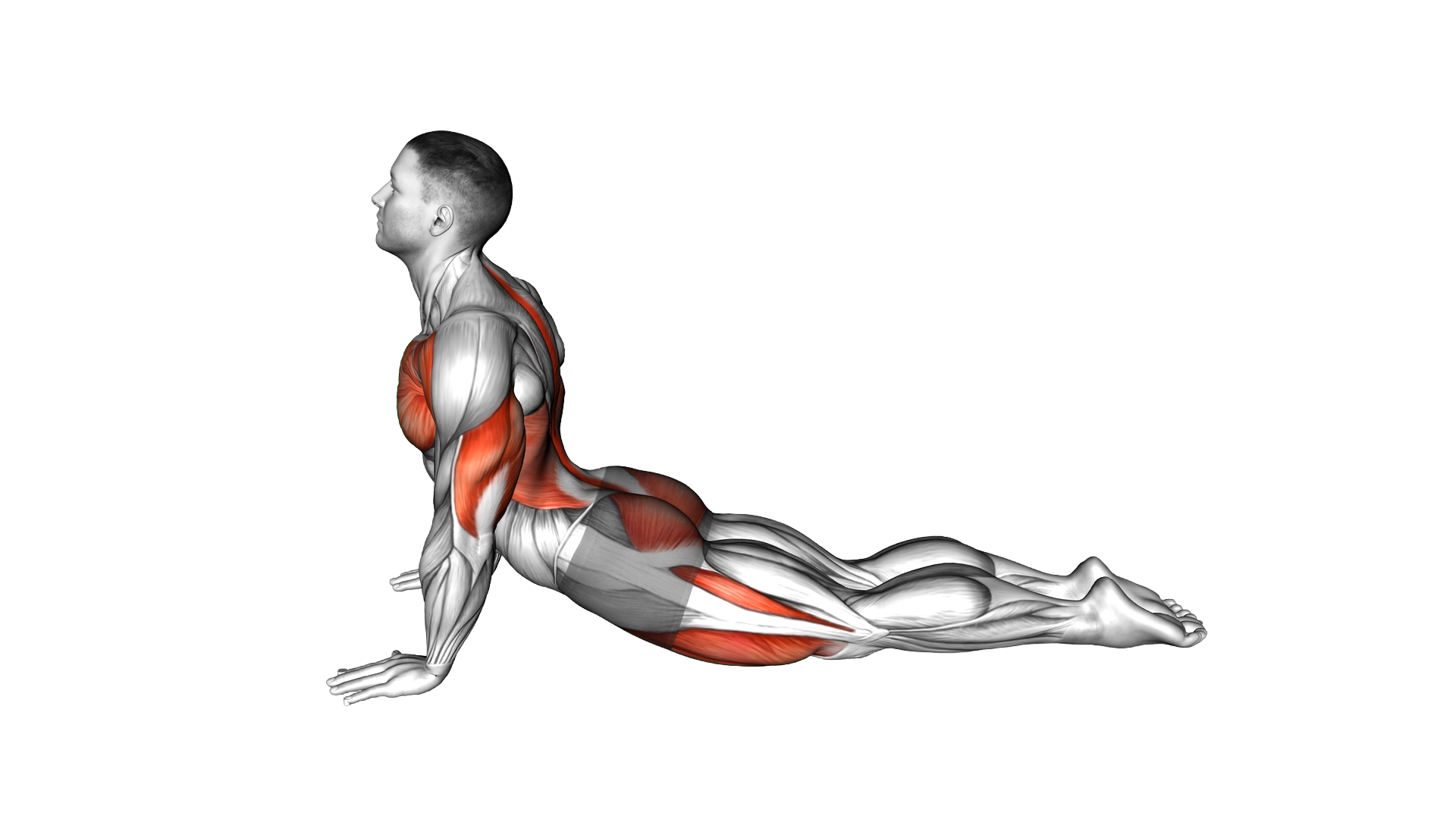 Cobra to Child Pose exercise demonstration