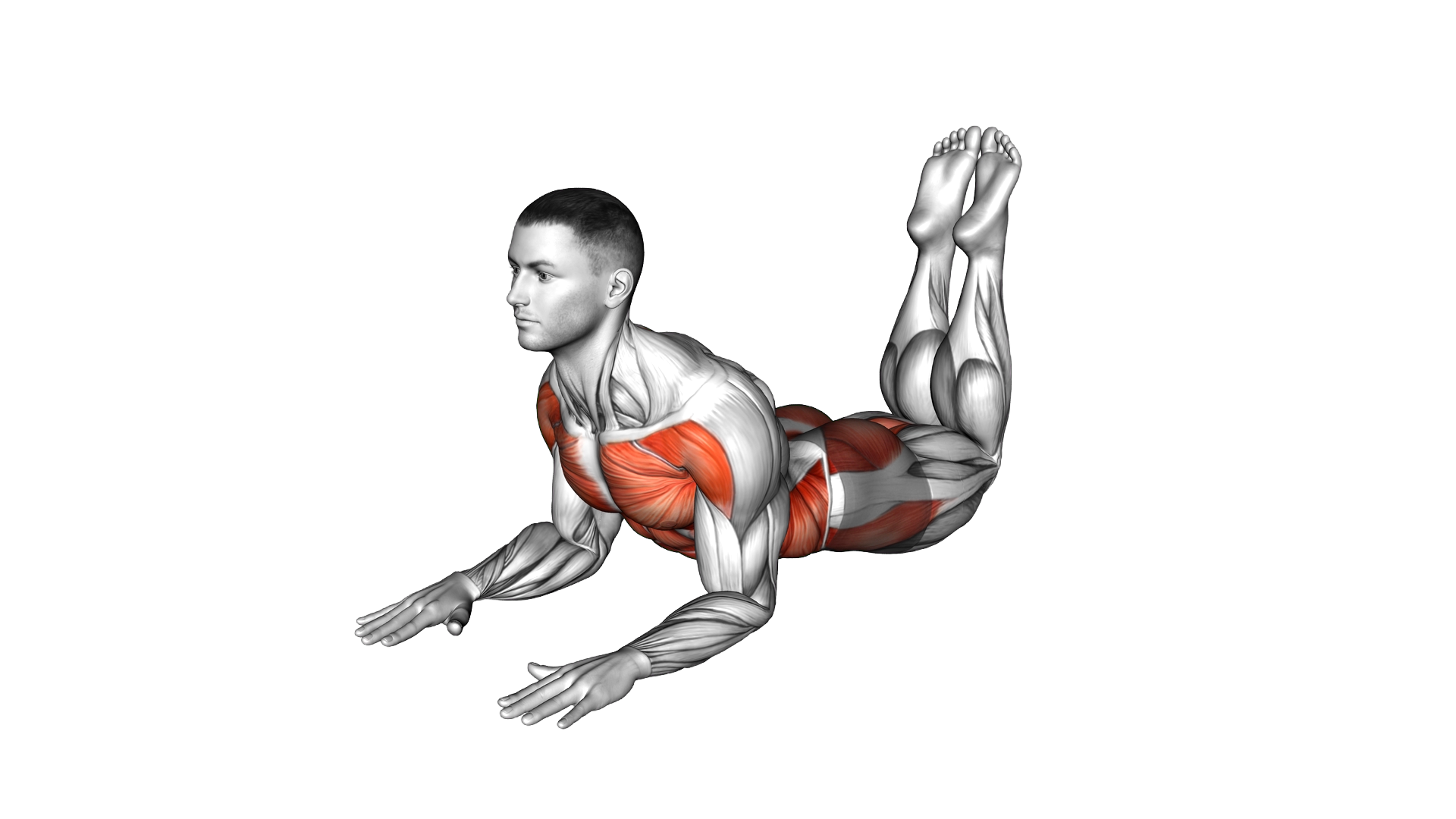 Sphinx Heel Drop exercise demonstration
