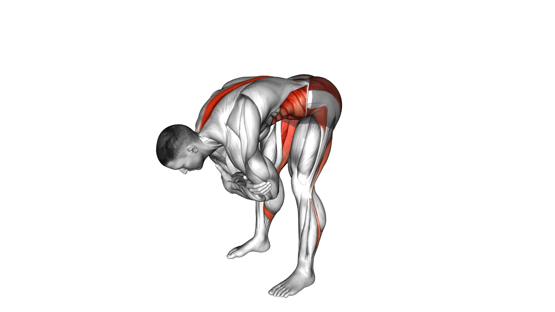 Forward Fold and Rock exercise demonstration