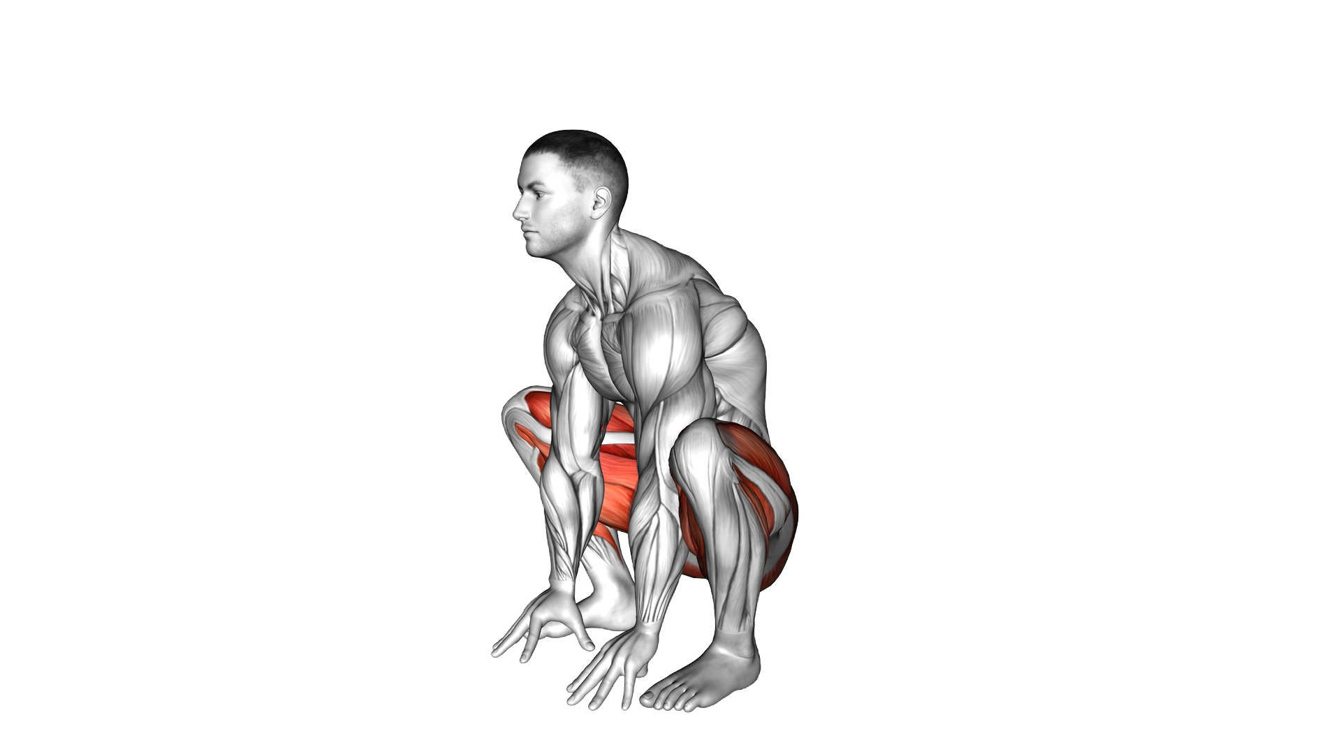 Stand to Squat exercise demonstration