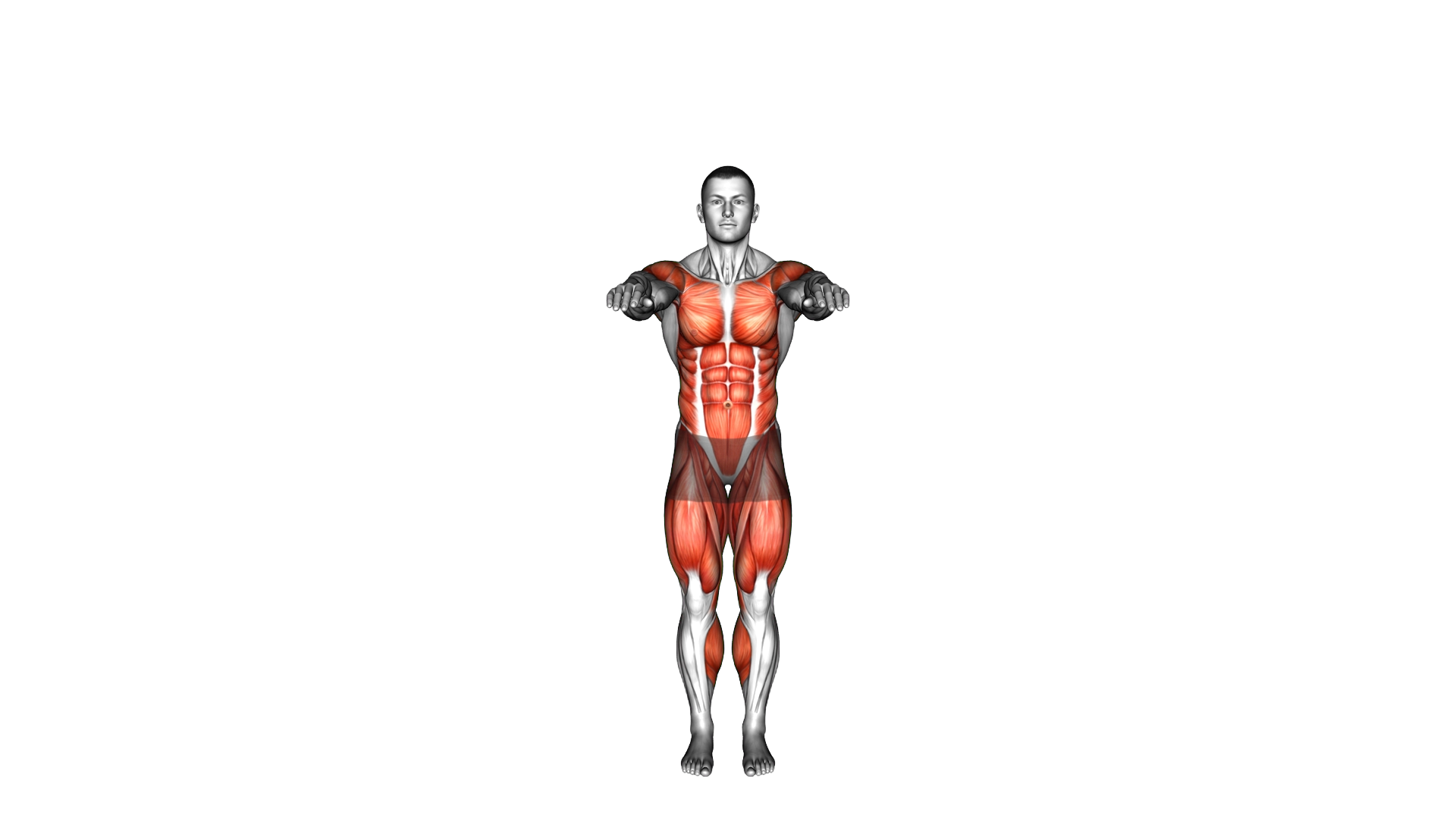 Standing Ladder Climb exercise demonstration