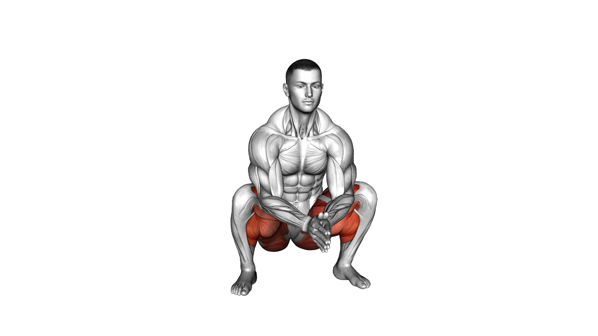 Push Knees Out exercise demonstration