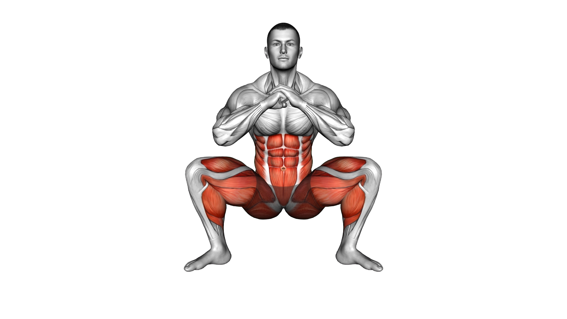 Dynamic Knee Drop exercise demonstration