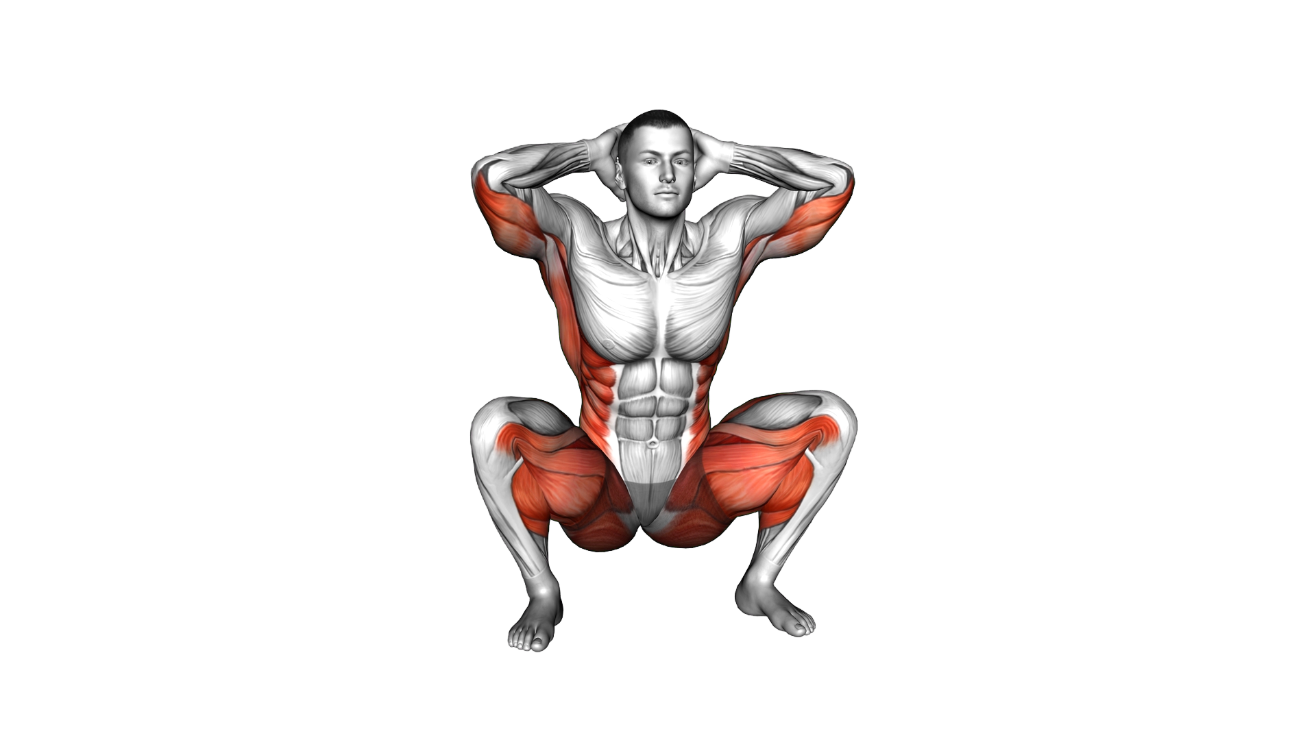 Deep Squat Turn Knee Tap exercise demonstration