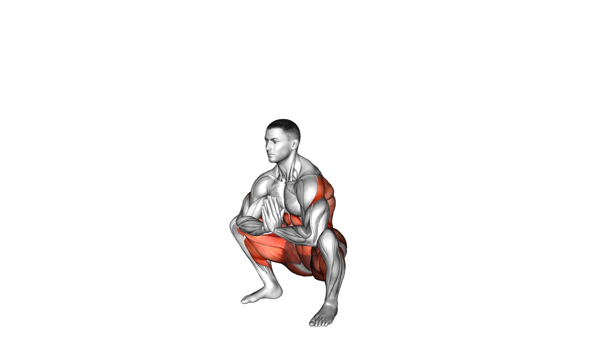 Deep Squat Reach Forward Reach Up exercise demonstration