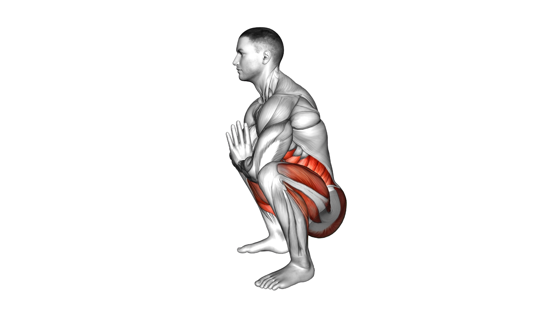 Deep Squat Head to Floor exercise demonstration