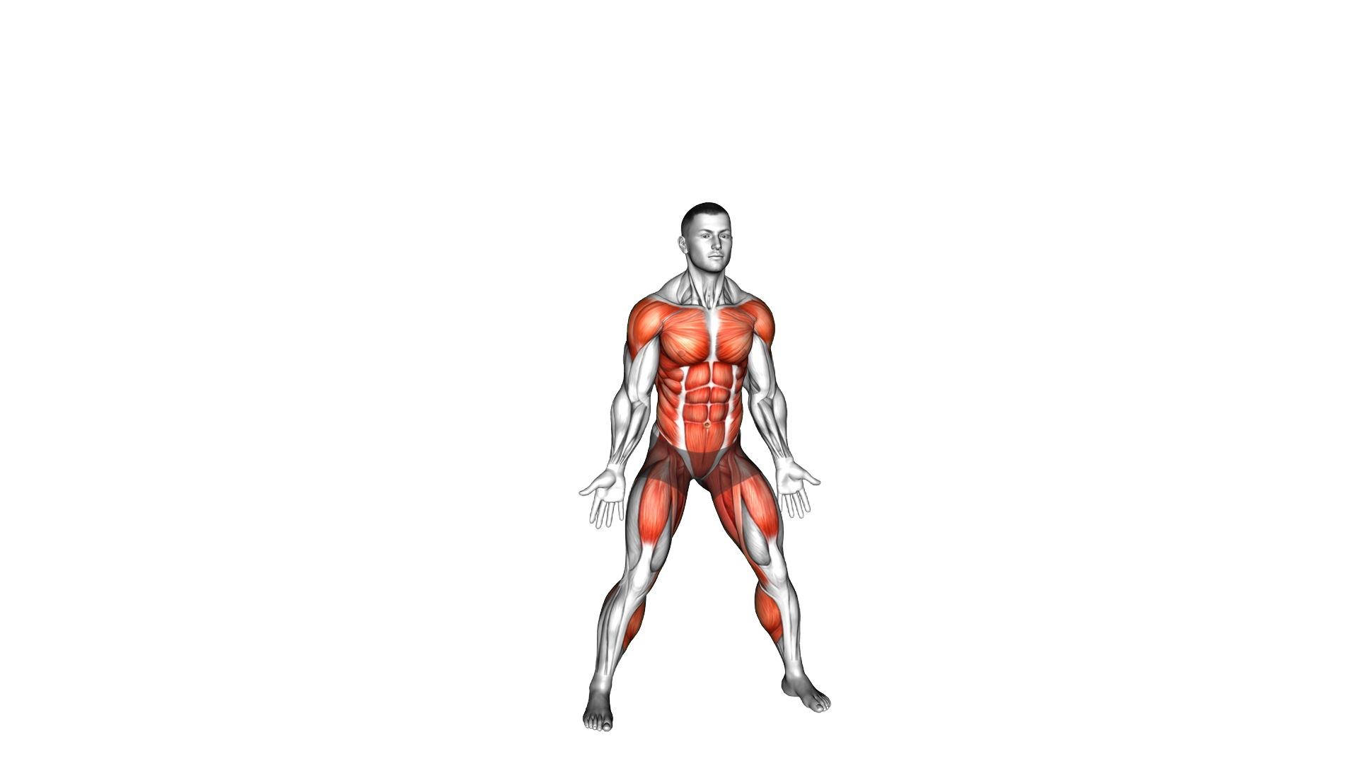 Alternating Hamstring Curl Jack exercise demonstration
