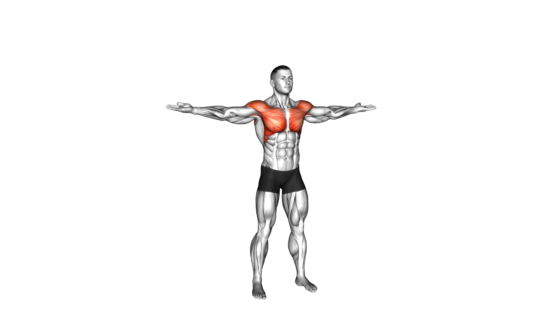 Standing Overhead Claps exercise demonstration