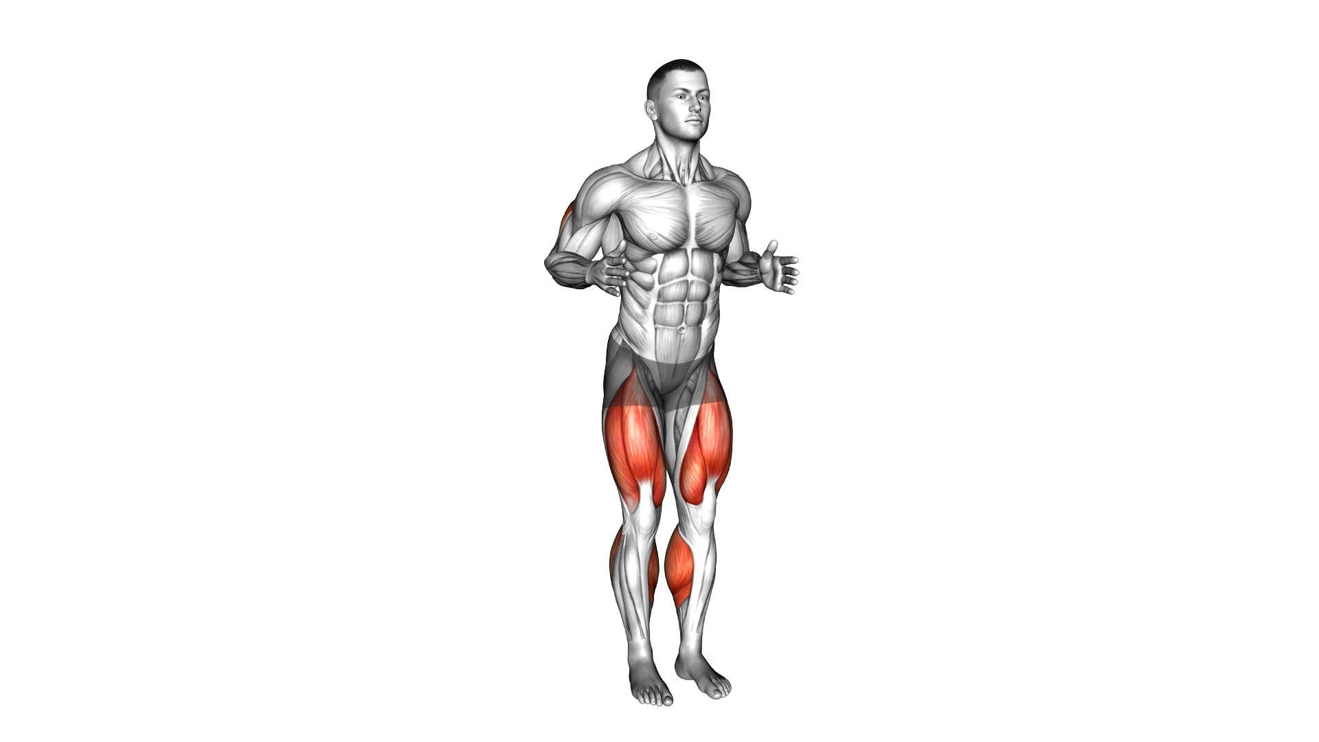 Triceps Extension Stepback exercise demonstration