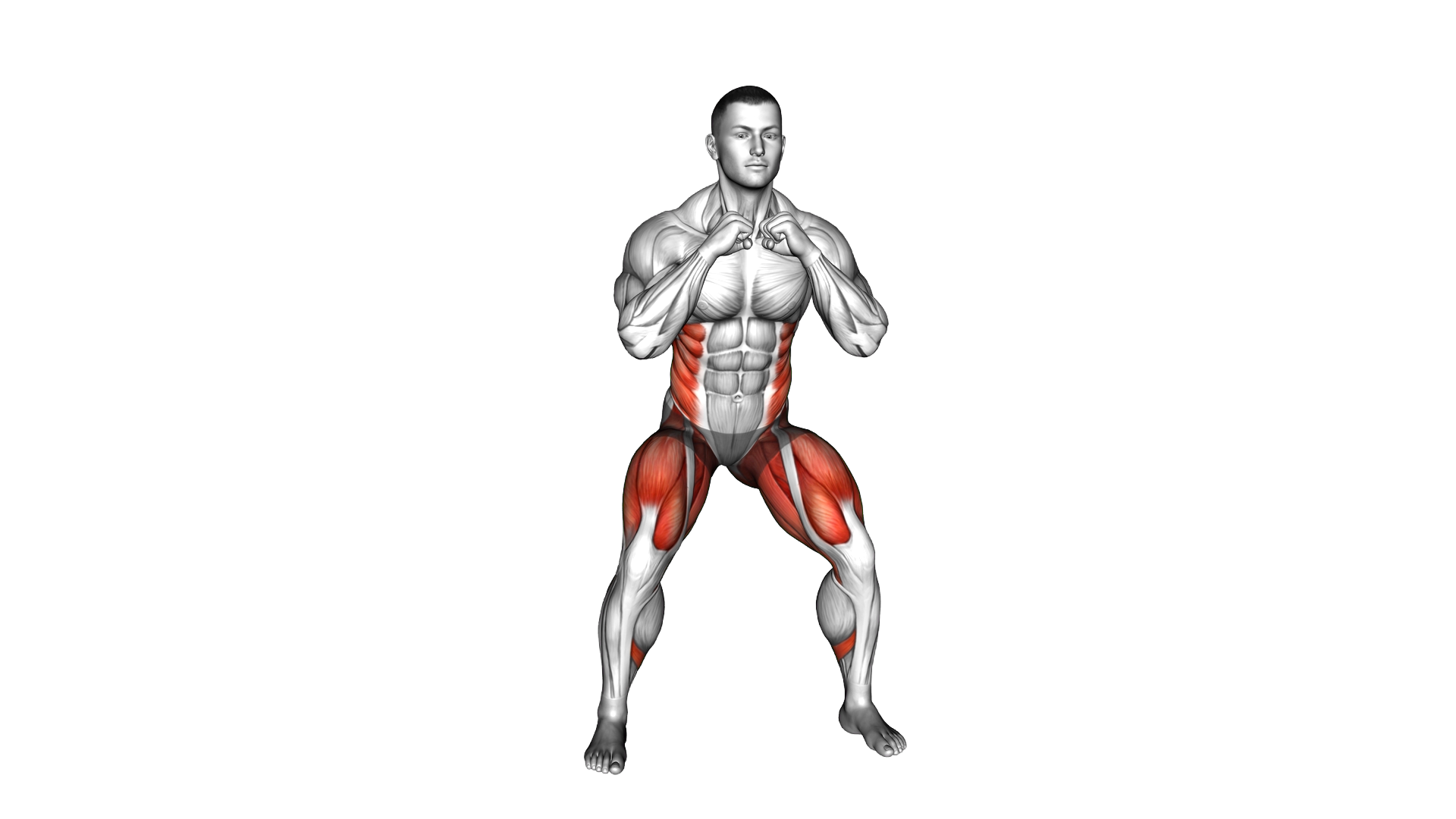 Slight Squat Torso Twist exercise demonstration