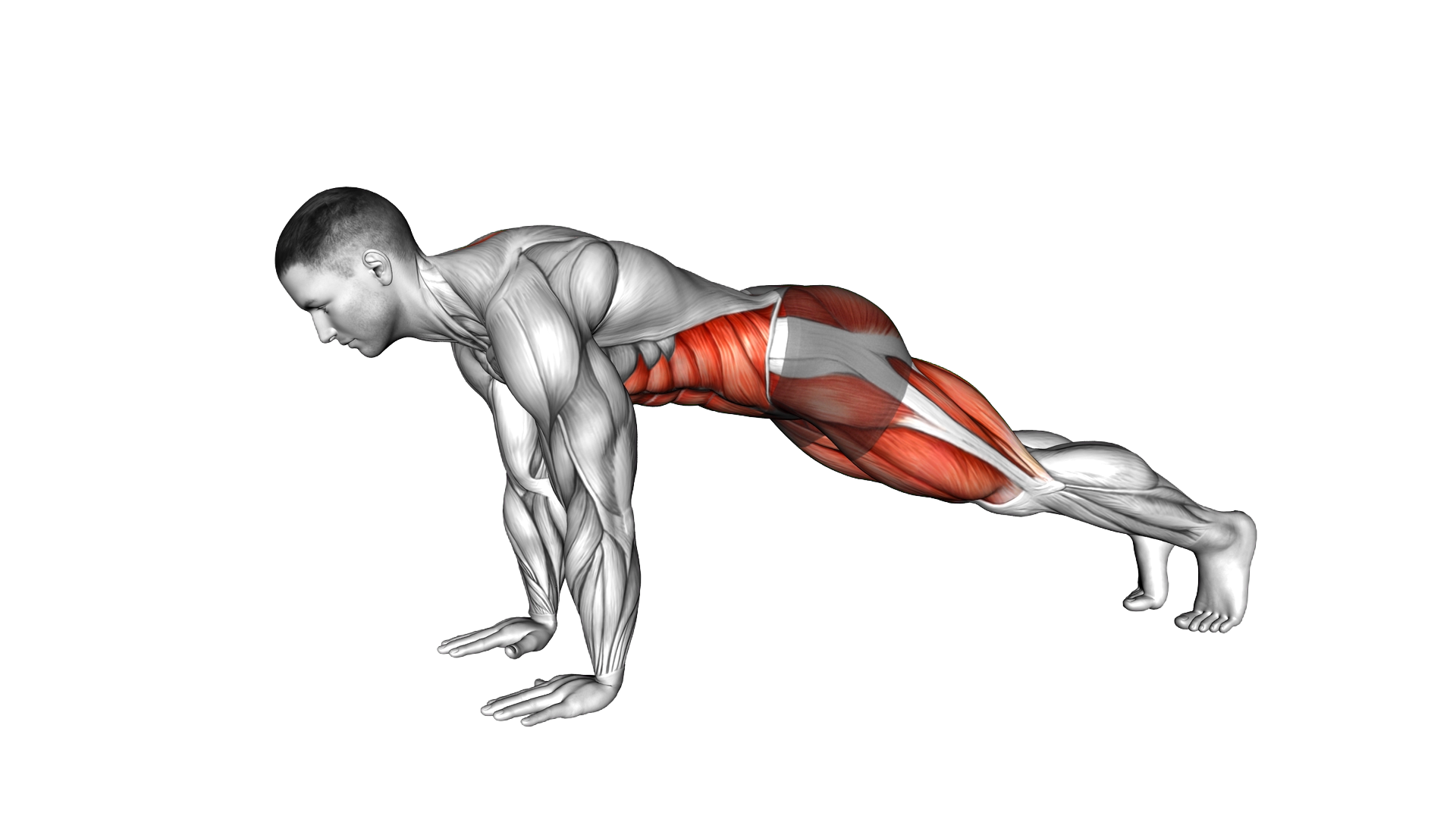 Pigeon Pose exercise demonstration