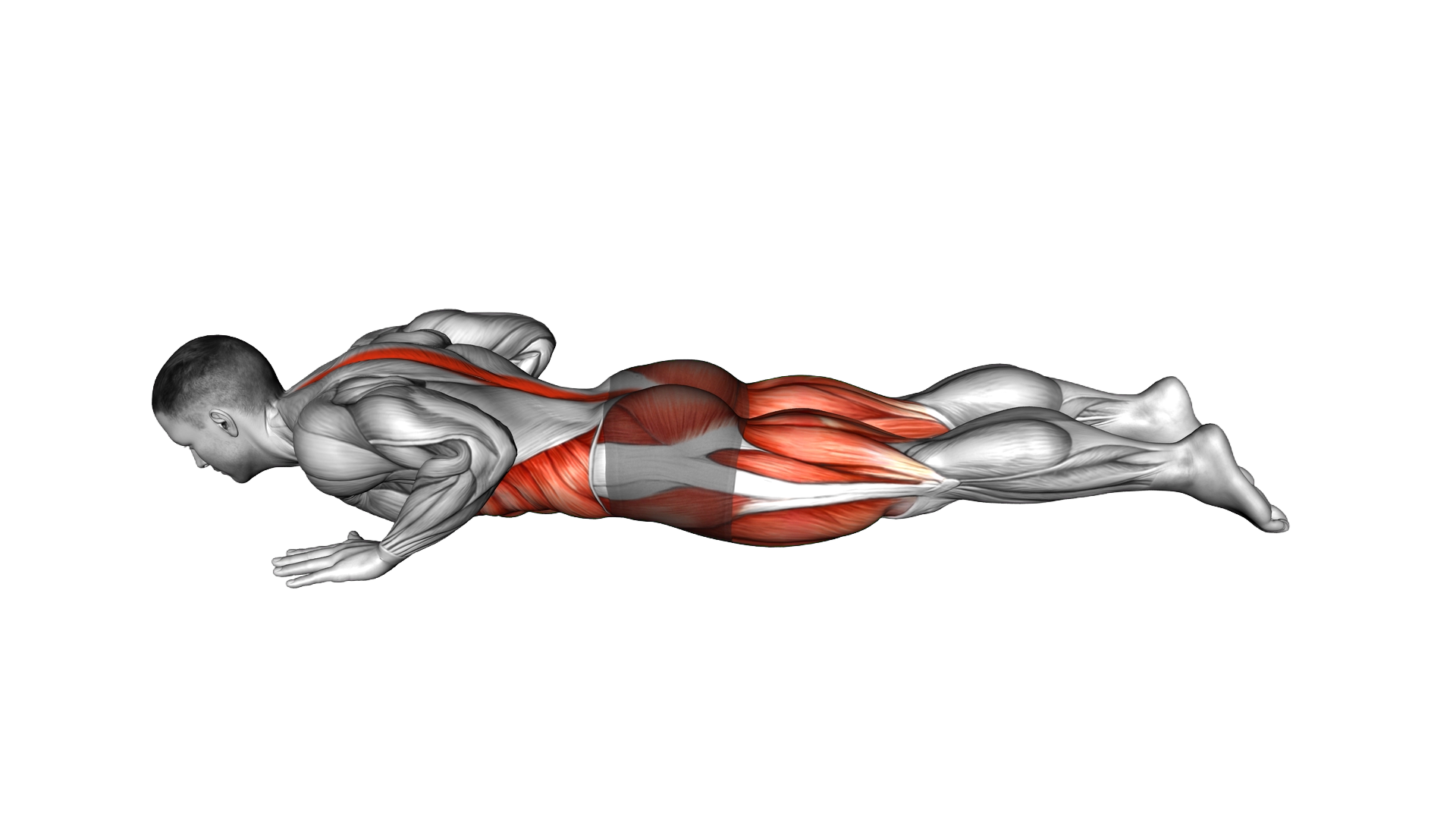 Lying Reverse Twist exercise demonstration