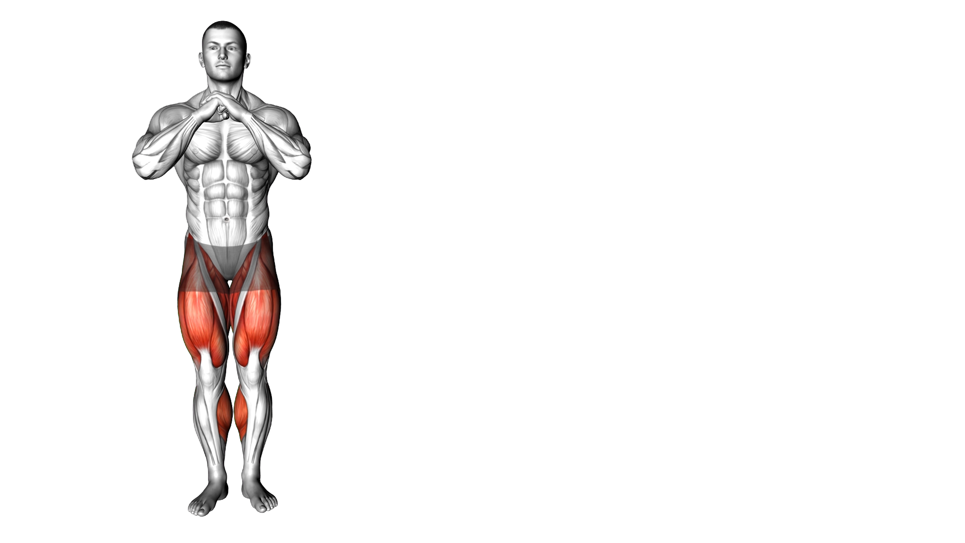 Sumo Crab Walk exercise demonstration