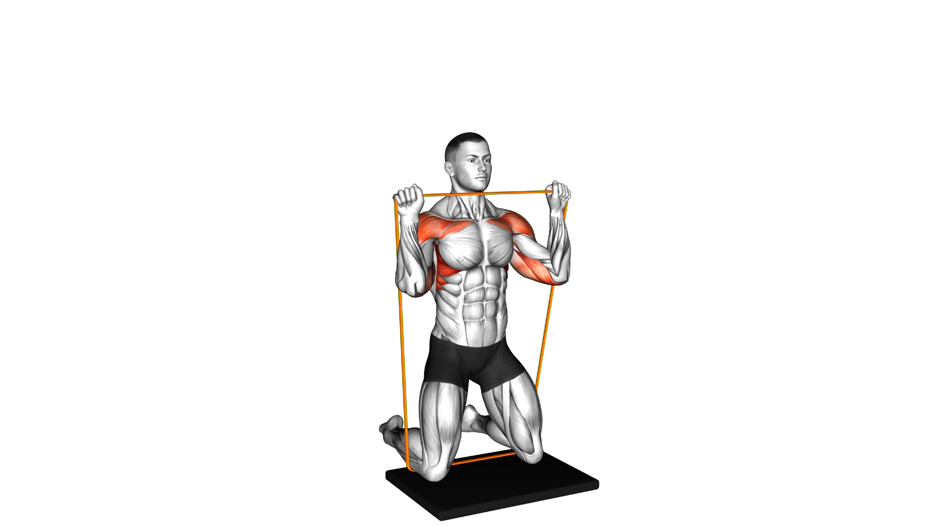 Resistance Band Kneeling Shoulder Press exercise demonstration