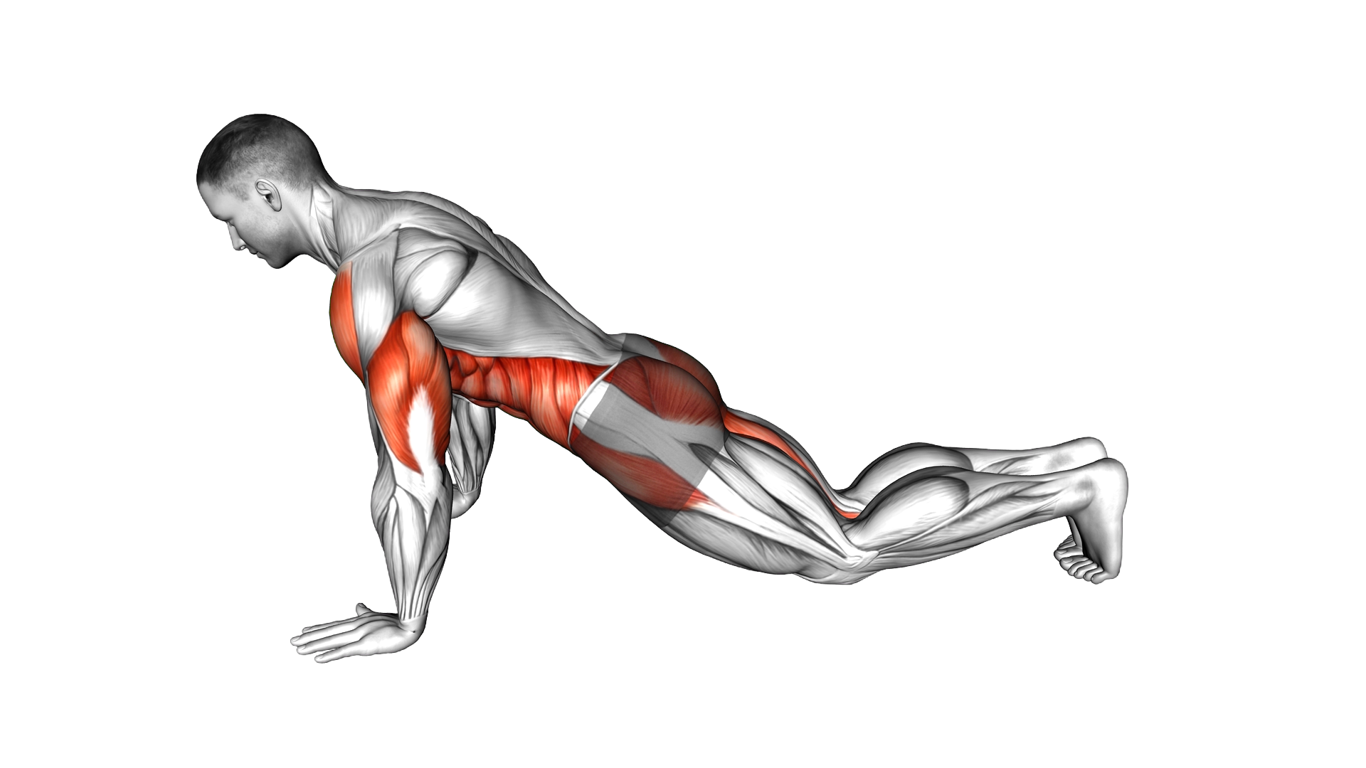 Kneeling Push up Jack exercise demonstration