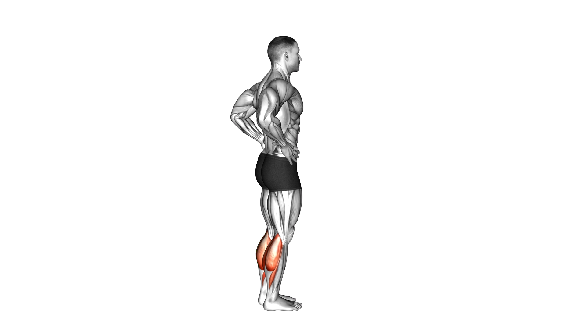 Tip Toes exercise demonstration