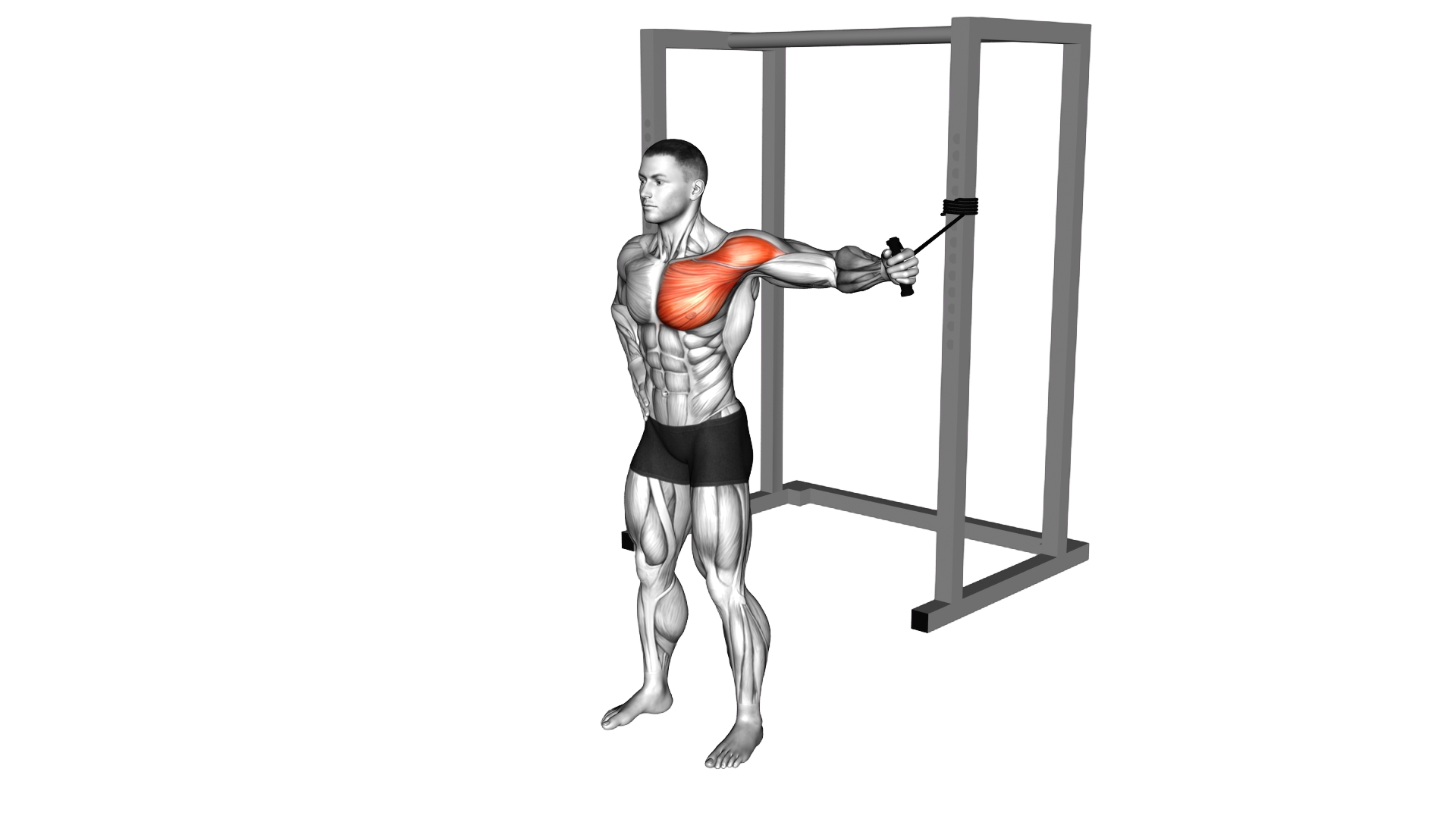 Band Standing Single Arm Chest Fly exercise demonstration