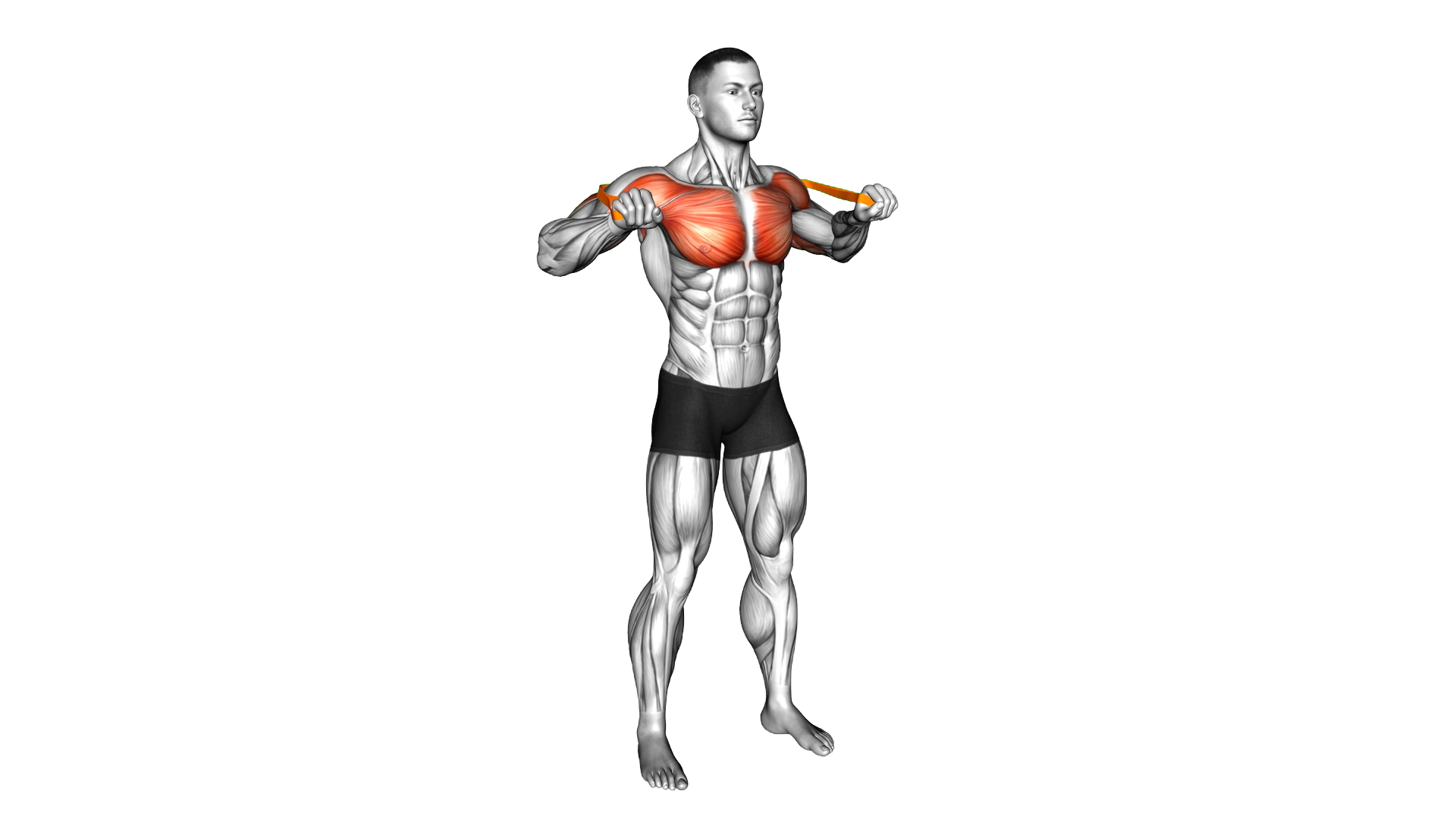 Resistance Band Standing Chest Press exercise demonstration
