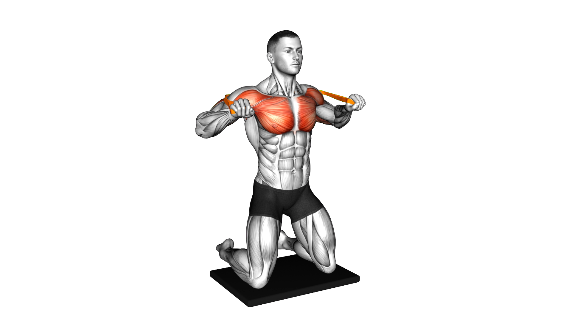 Resistance Band Kneeling Chest Press exercise demonstration