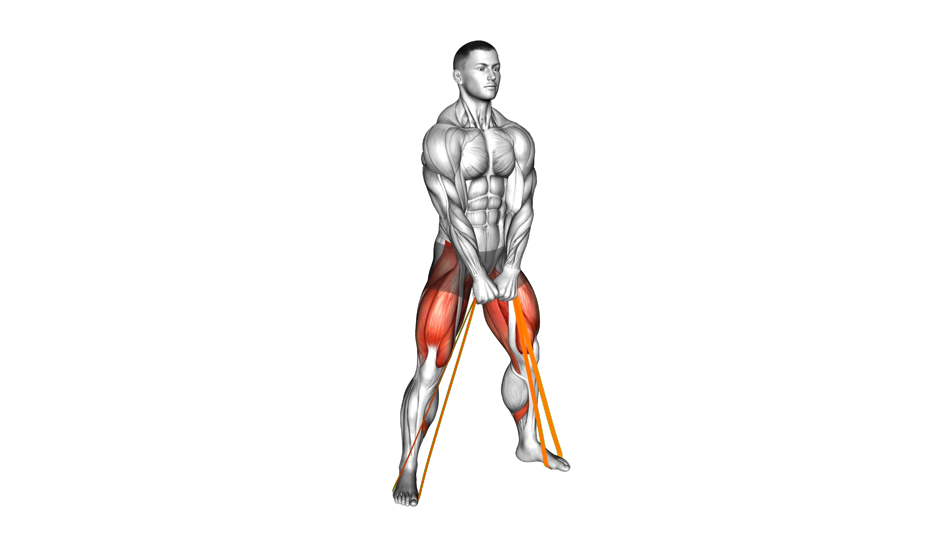 Resistance Band Sumo Squat exercise demonstration
