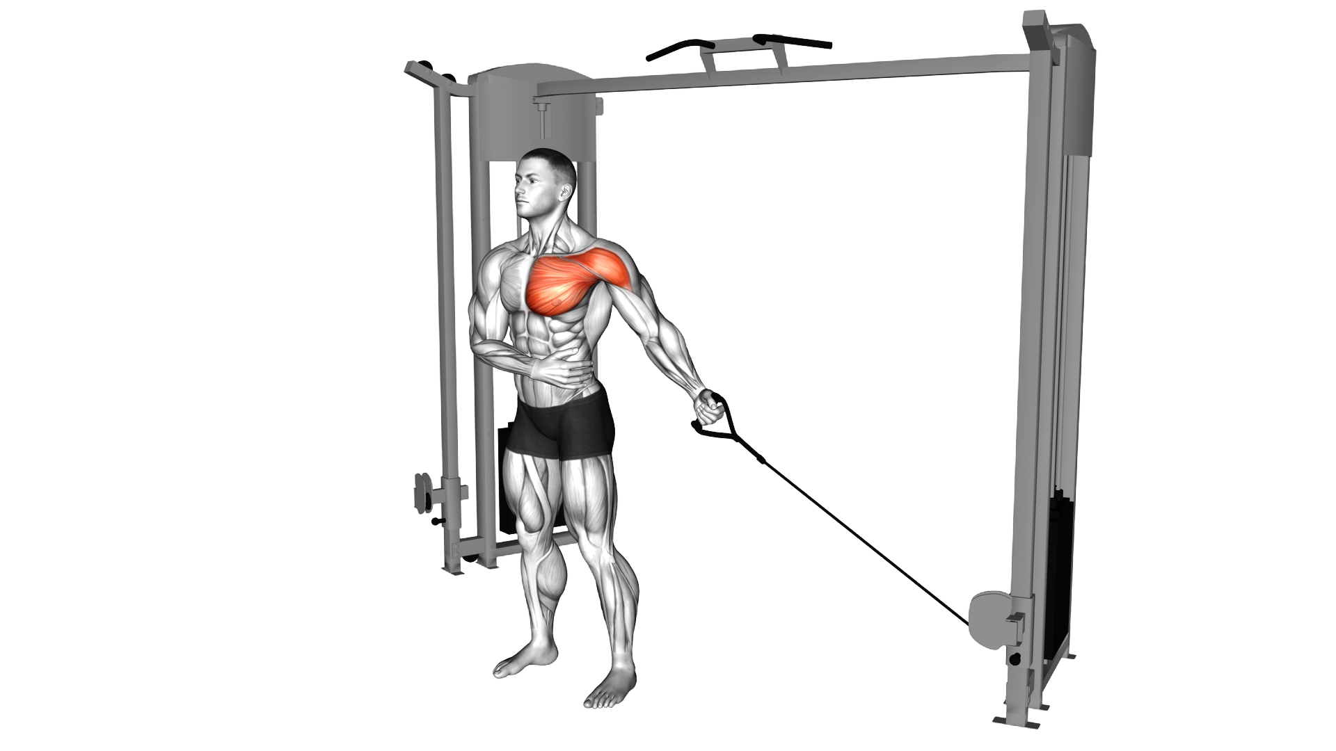 Cable Single Arm Low Fly exercise demonstration