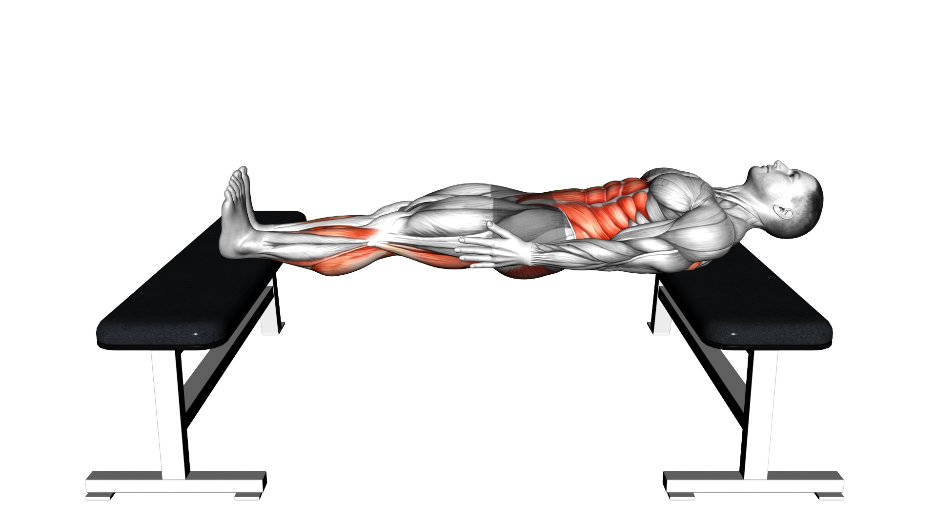 Chinese Plank exercise demonstration