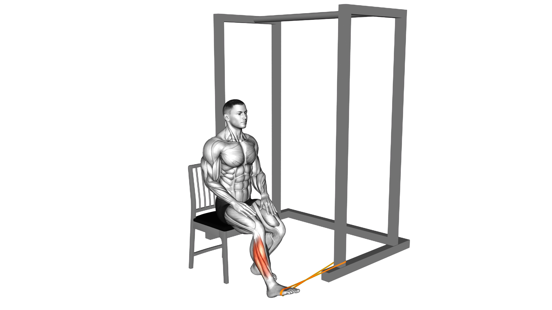 Resistance Band Seated Eversion Foot exercise demonstration