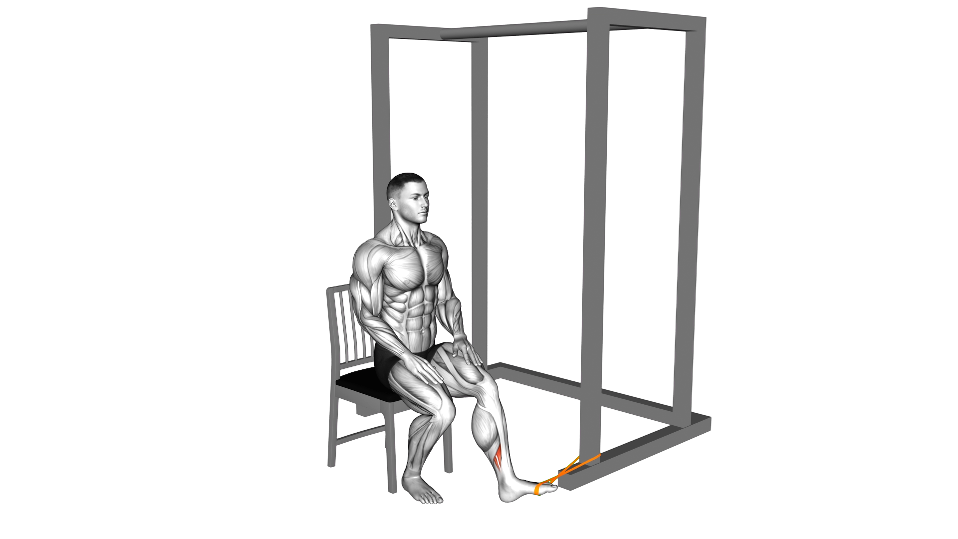 Resistance Band Seated Inversion Foot exercise demonstration