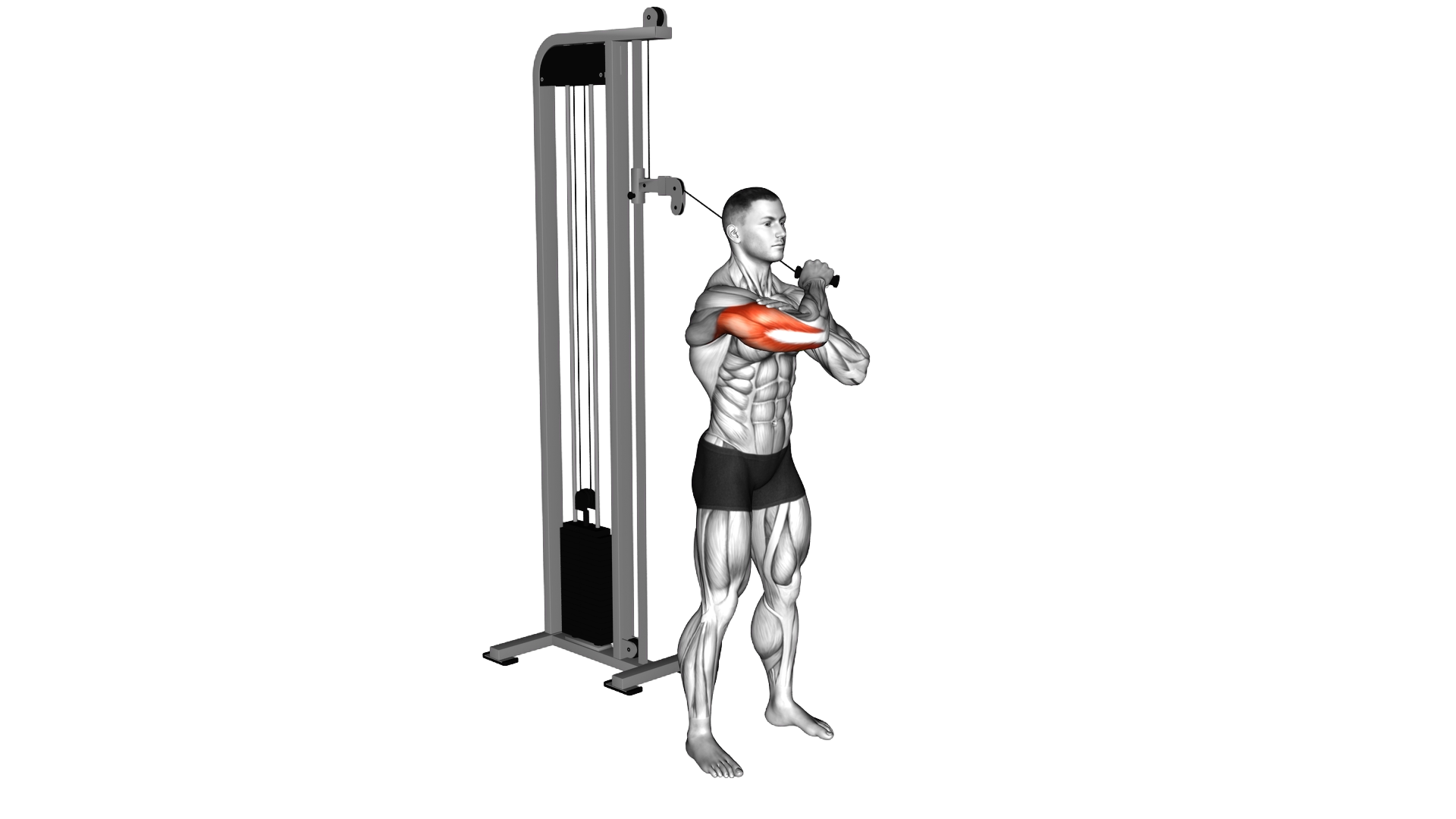 Cable Standing Single Arm Horizontal Triceps Exten exercise demonstration