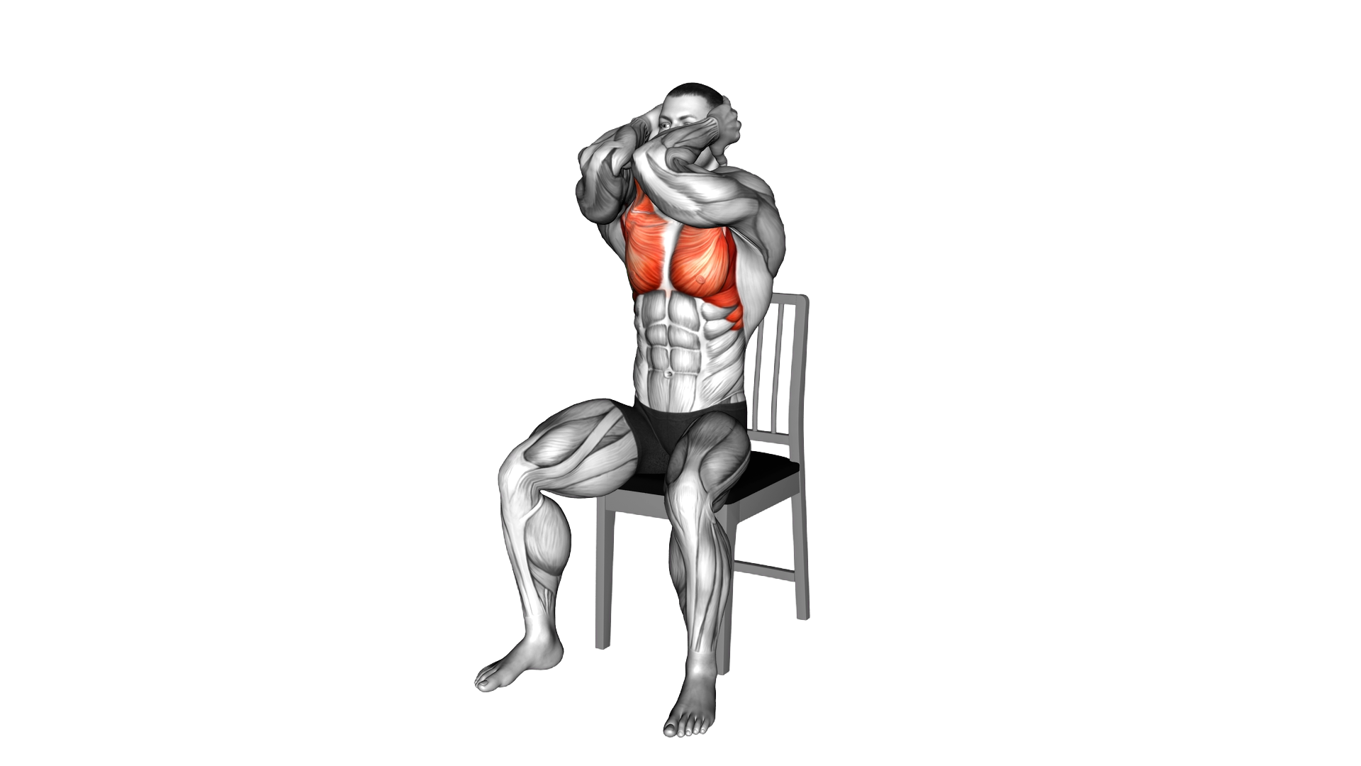 Seated Elbow Chest Fly on a Chair exercise demonstration