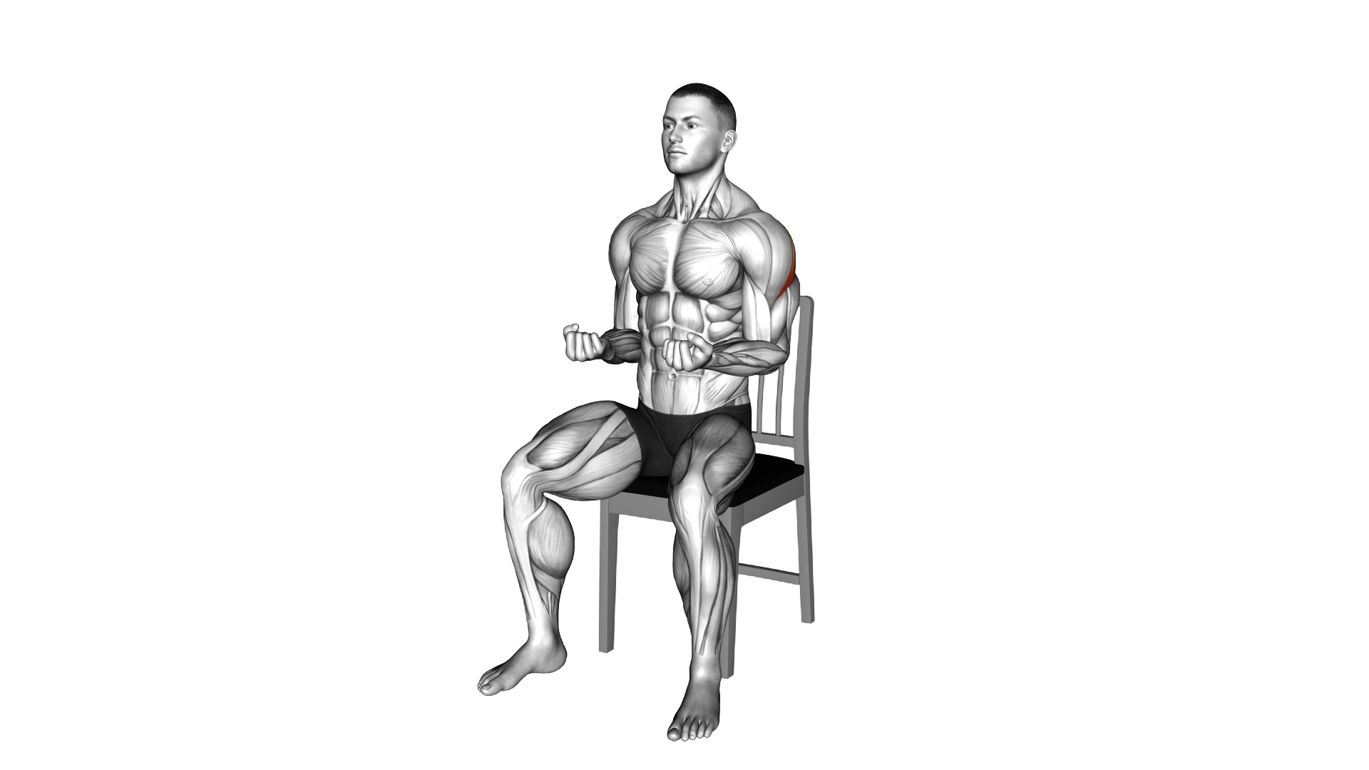 Seated External Rotation on a Chair exercise demonstration
