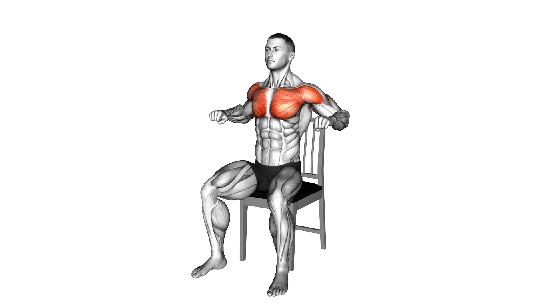 Seated Chest Press on a Chair exercise demonstration