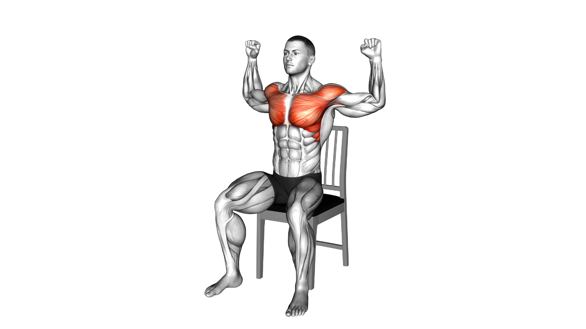 Seated Pec Dec on a Chair exercise demonstration