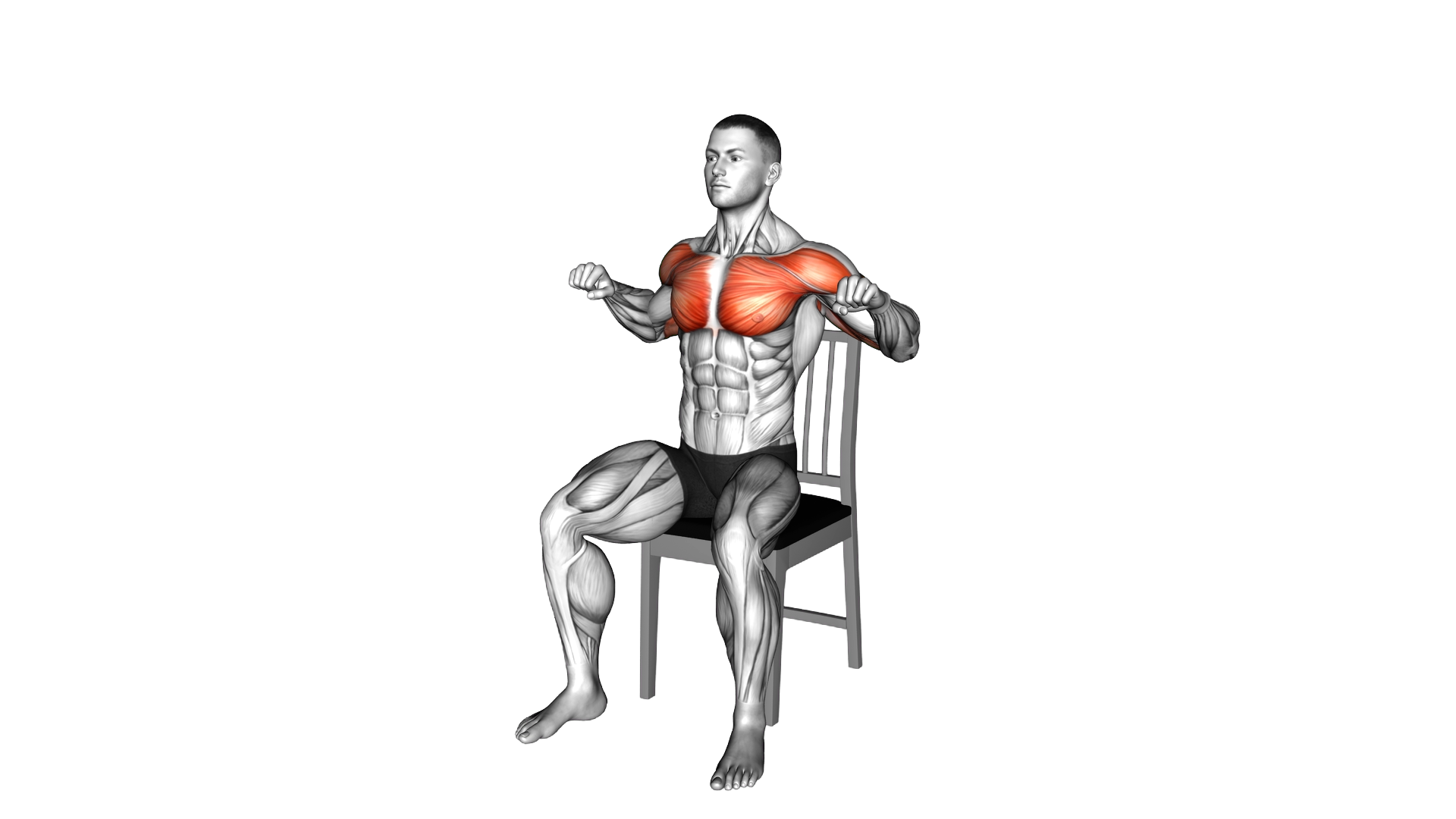 Seated Incline Chest Press on a Chair exercise demonstration