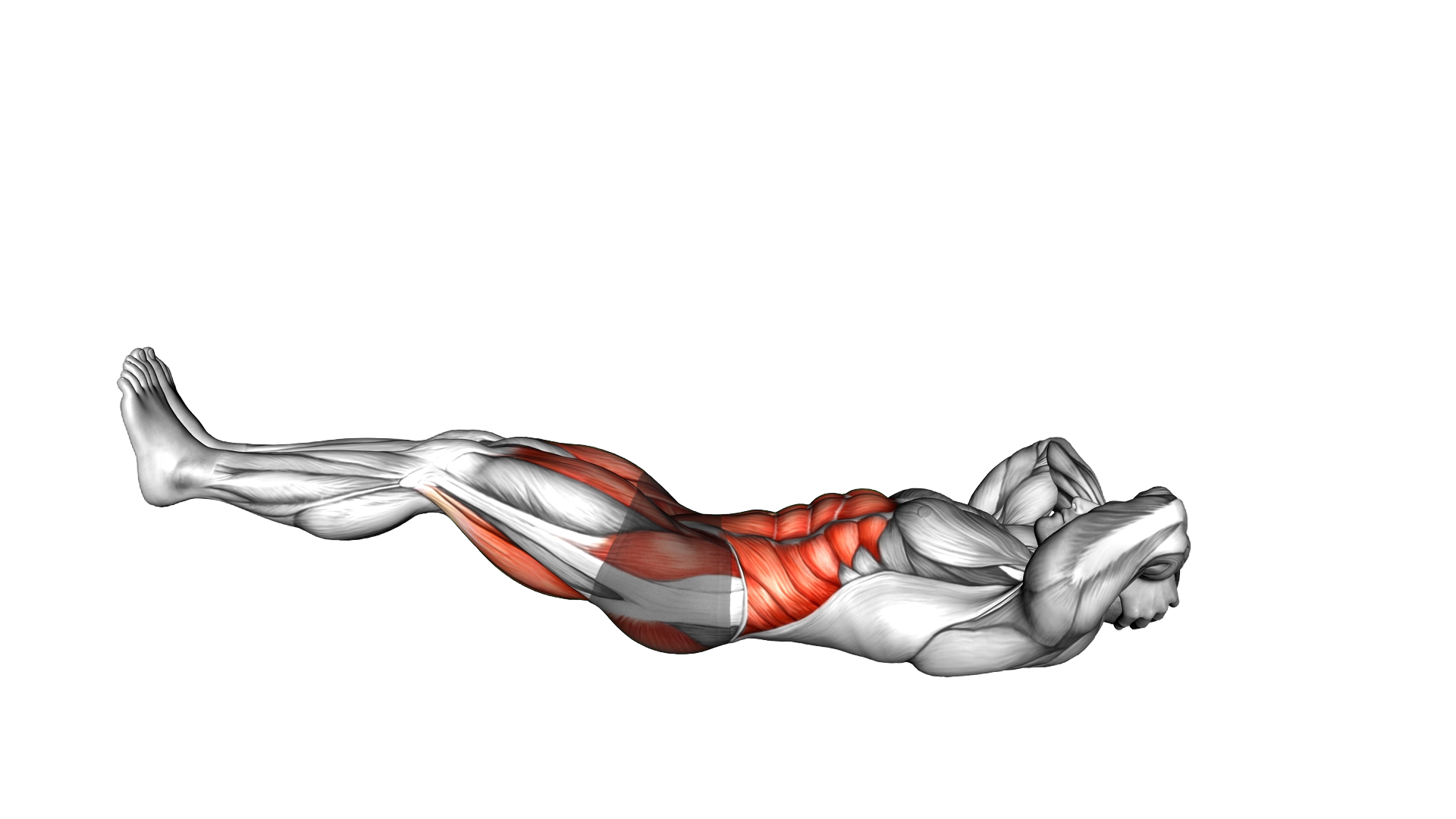 Atomic Sit Up exercise demonstration