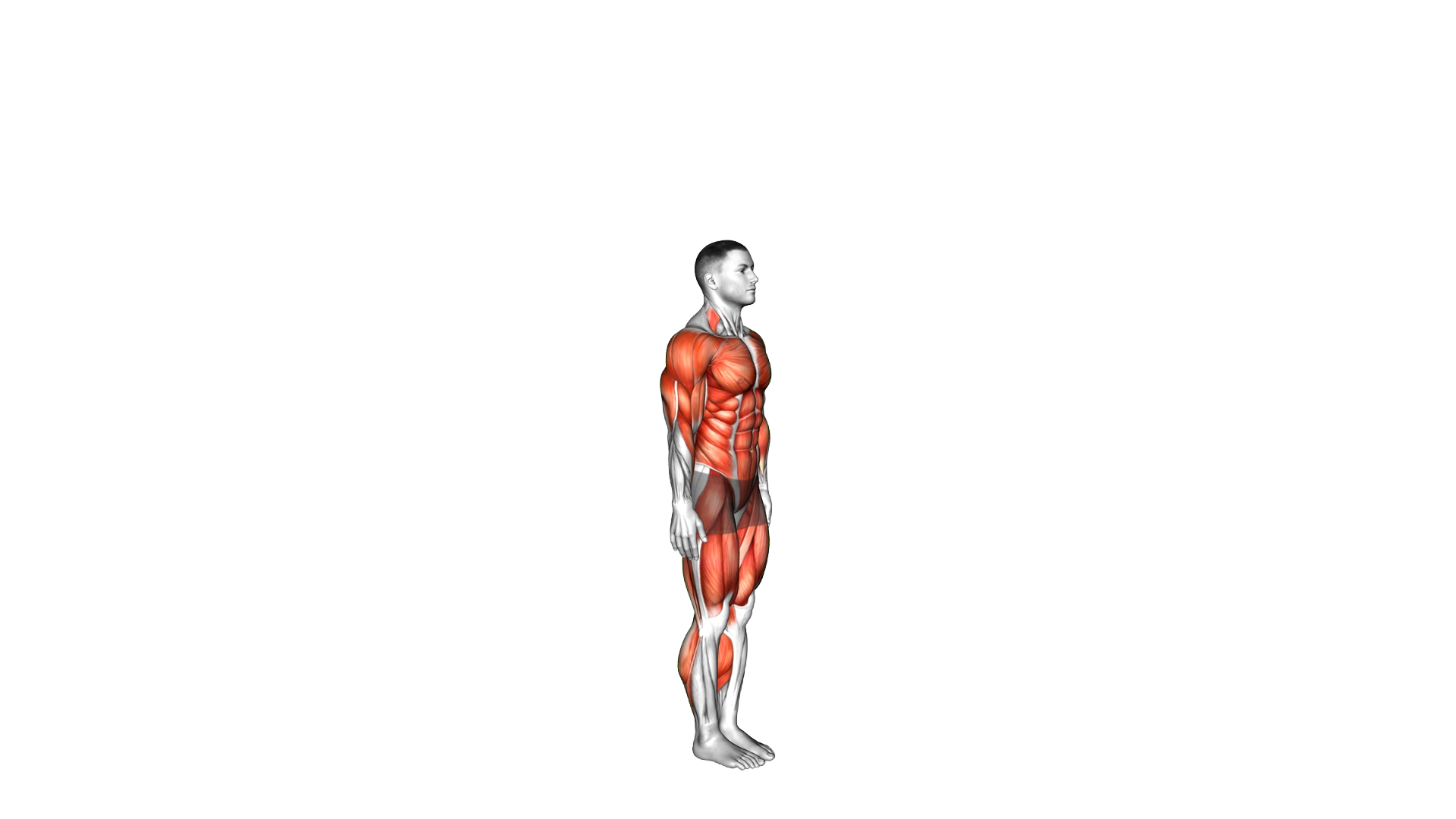 Push up Plank Jack Burpee exercise demonstration