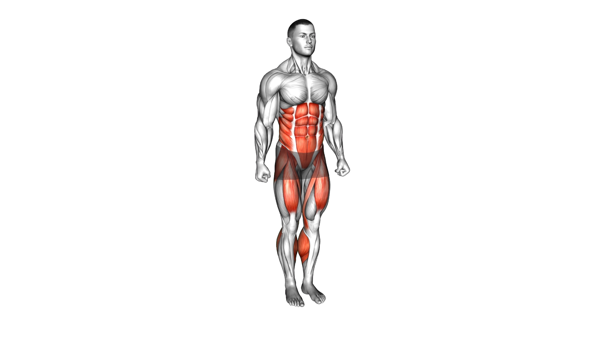 Feet Front Tap exercise demonstration