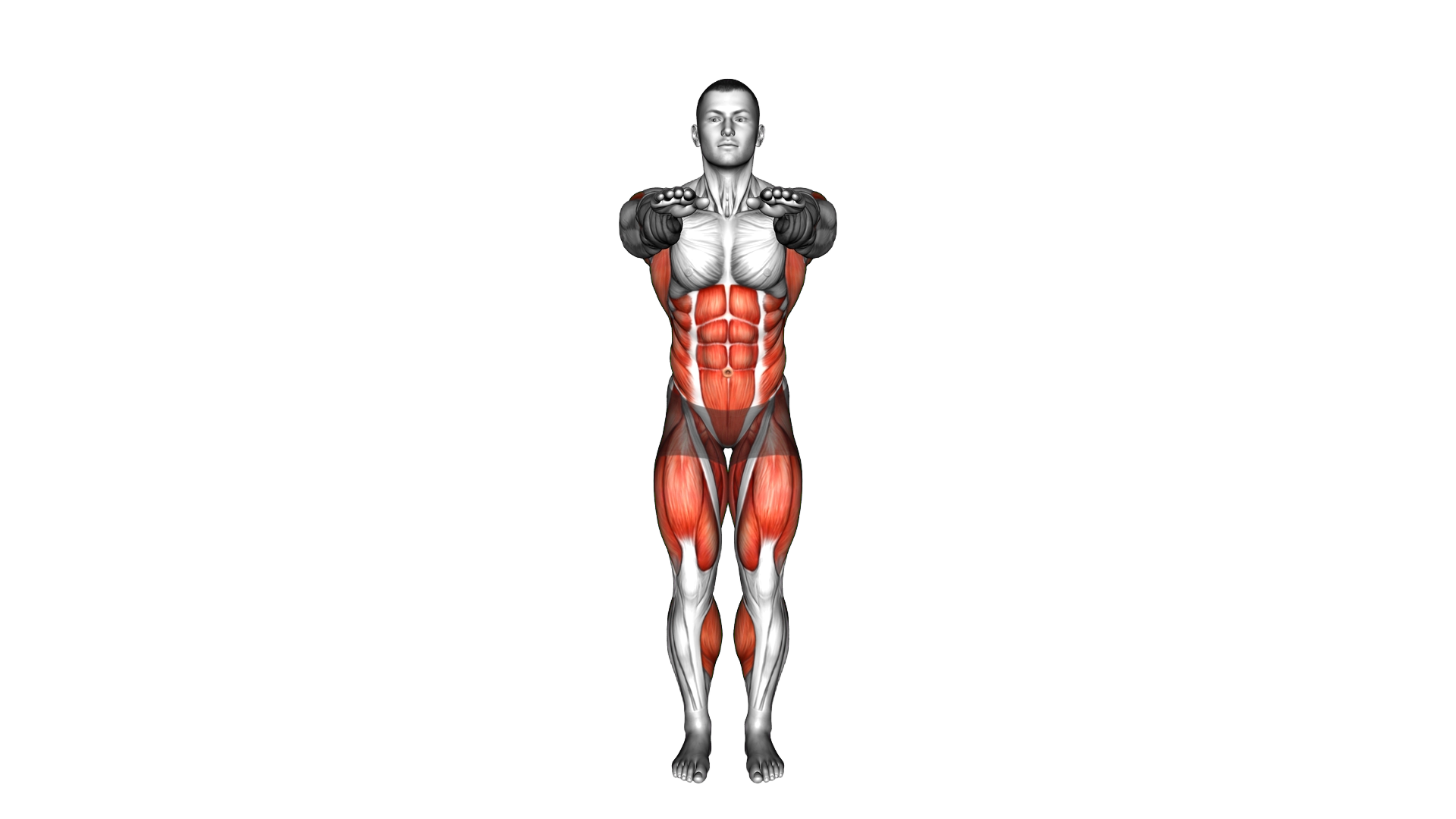 Side Step Row exercise demonstration