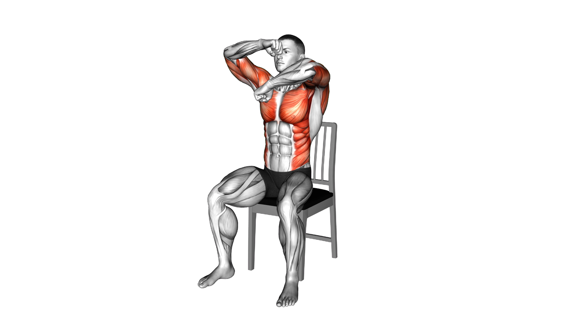Seated Rotating Boxing Rolls on a Chair exercise thumbnail