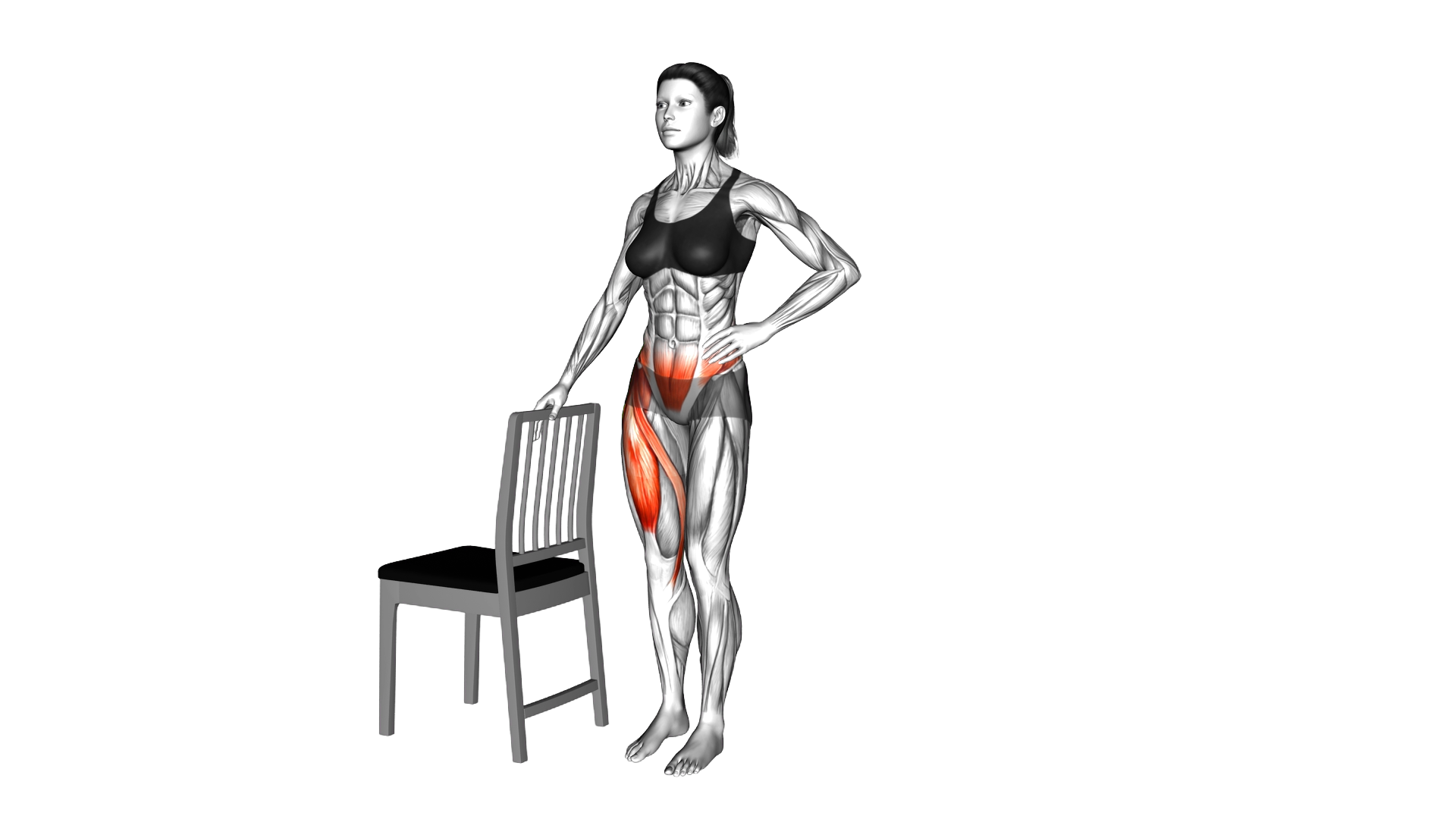 Standing Single Front Leg Raise Chair Supported (f exercise demonstration