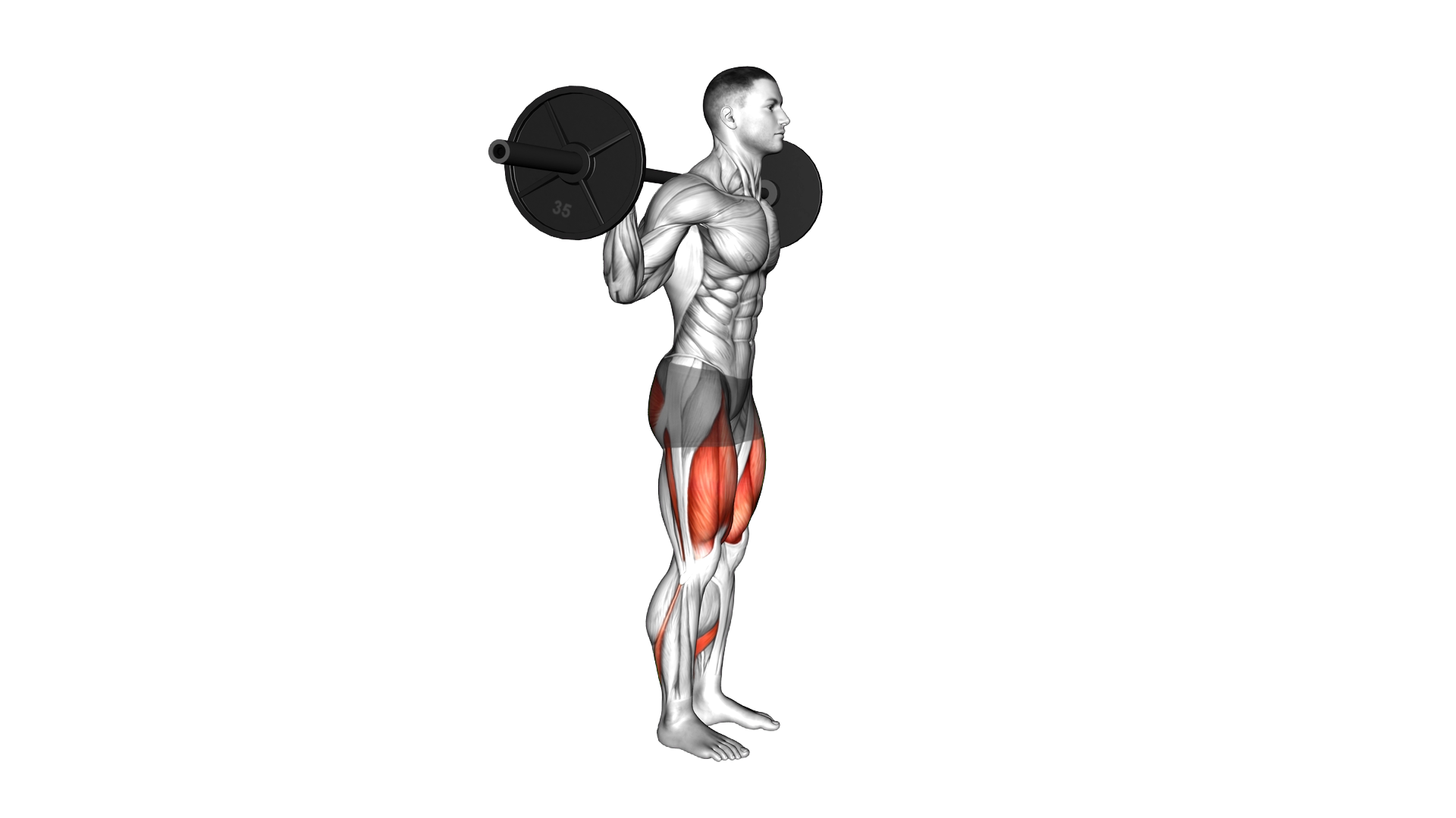 Barbell Forward Backward Lunge exercise demonstration