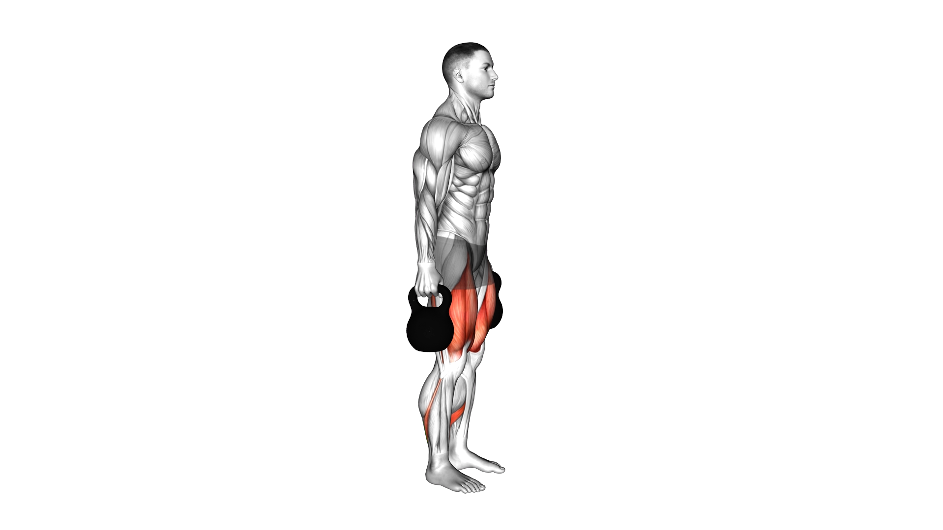 Kettlebell Forward Backward Lunge exercise demonstration