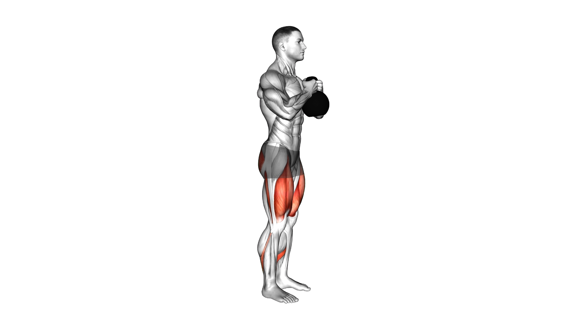 Kettlebell Goblet Forward Backward Lunge exercise demonstration