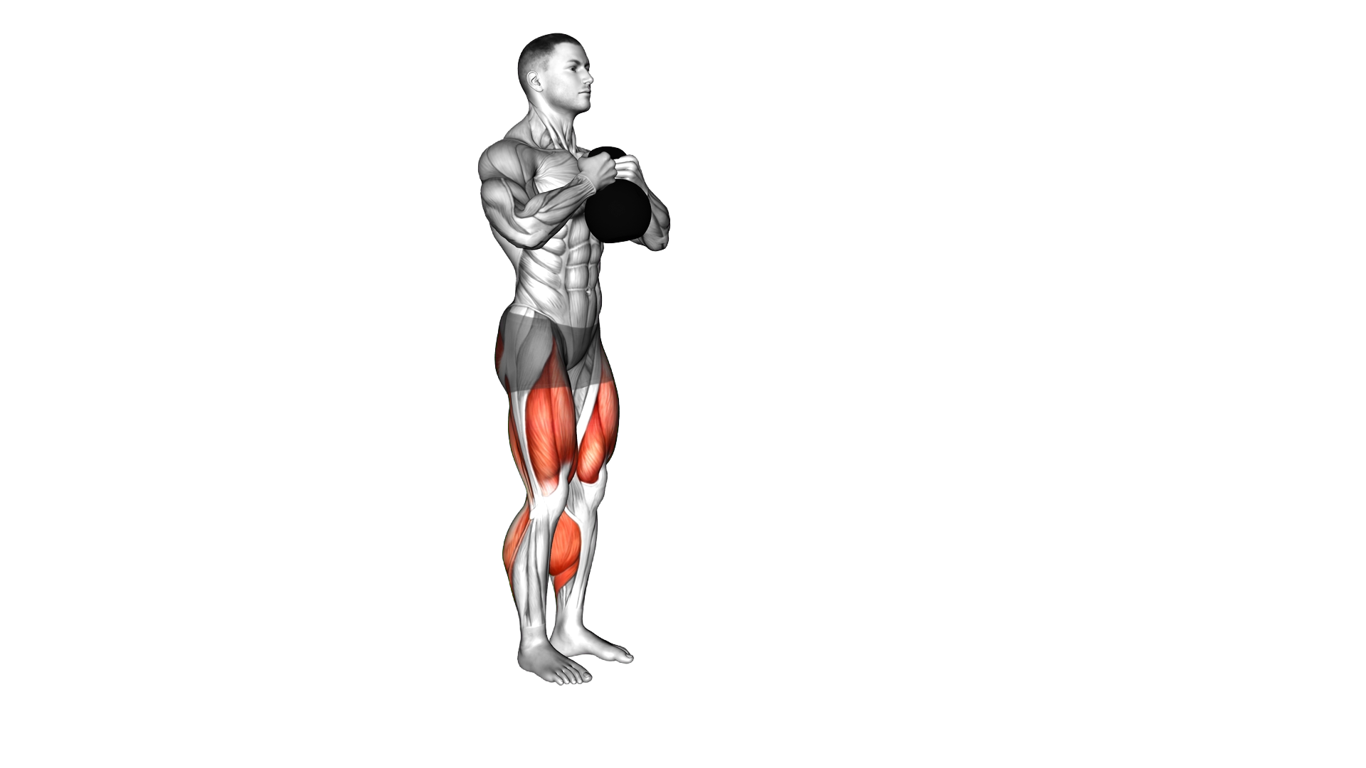 Kettlebell Goblet Forward Backward Lunge exercise demonstration