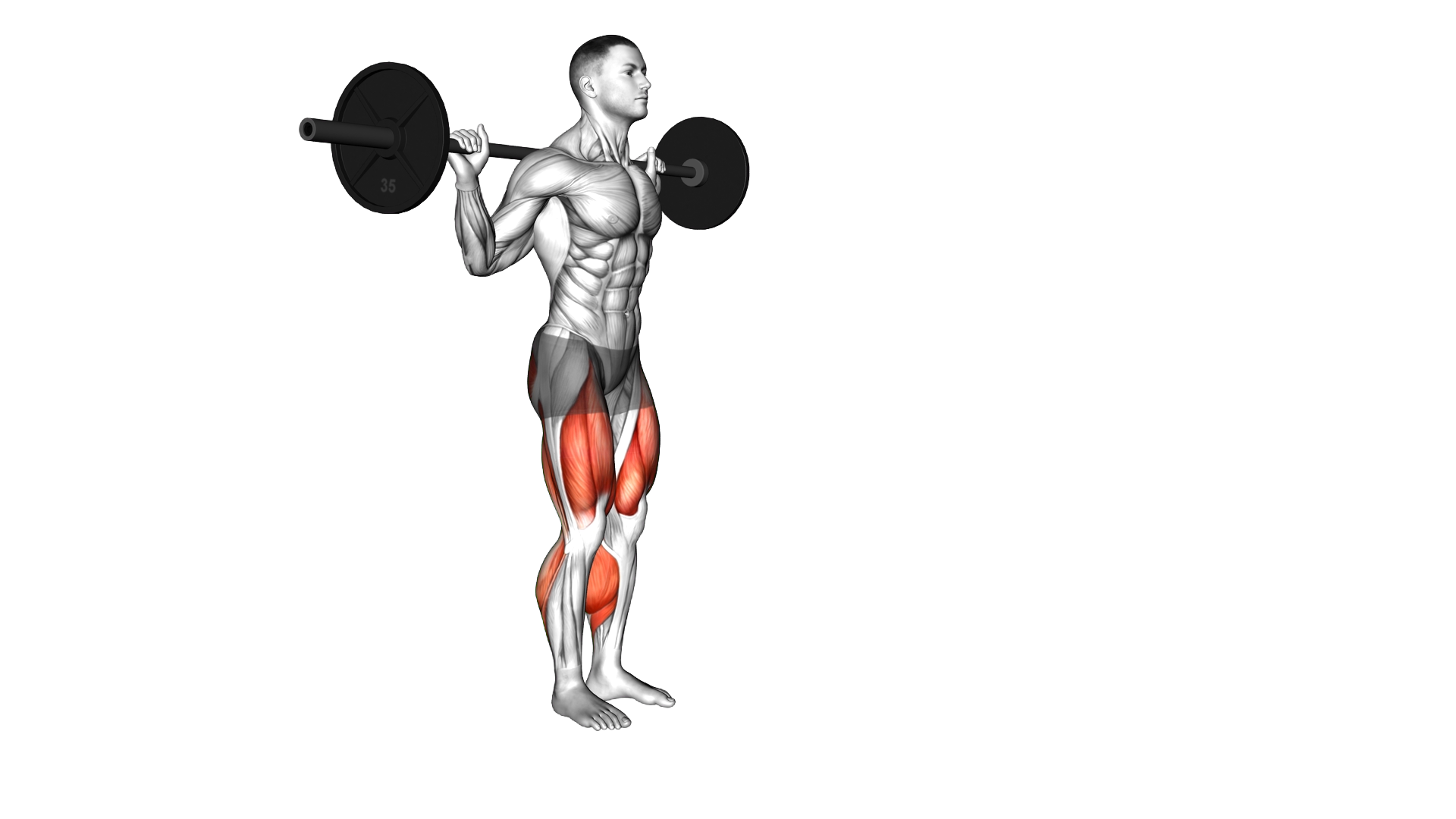 Barbell Forward Backward Lunge exercise demonstration